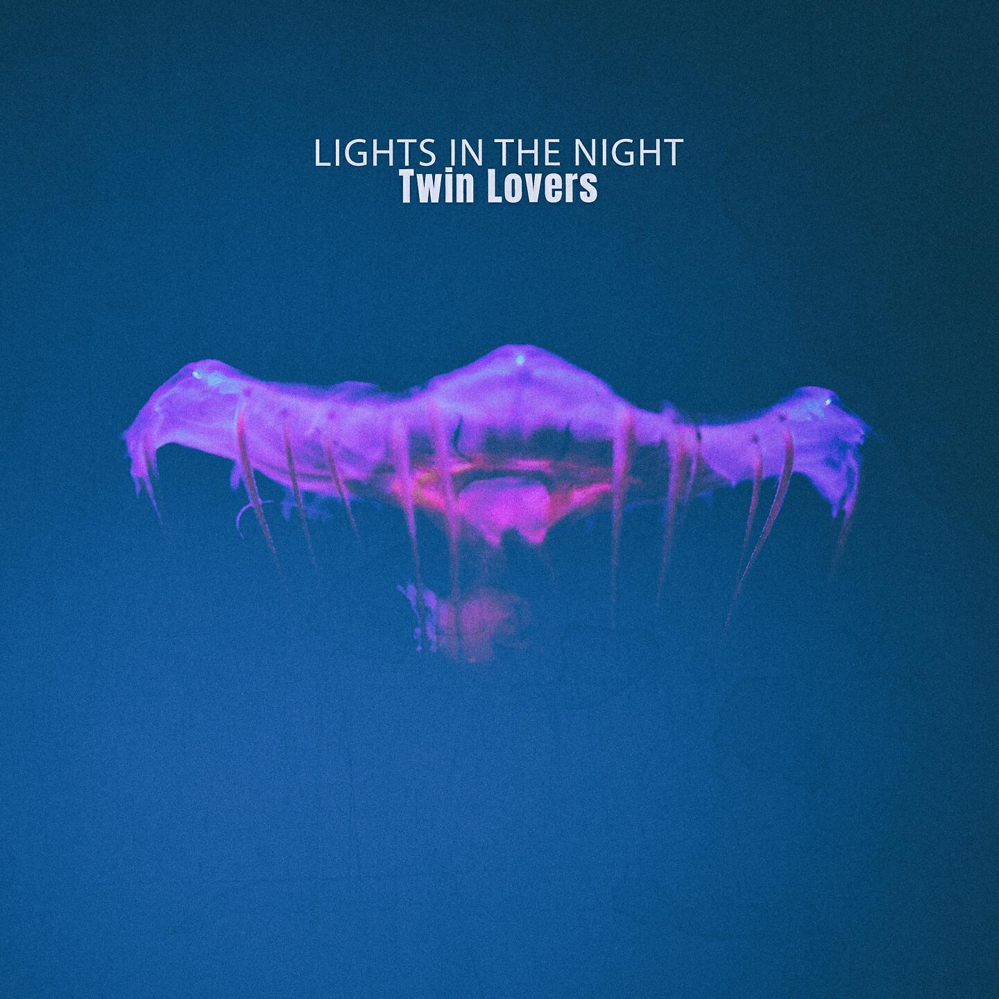Релиз Lights In The Night