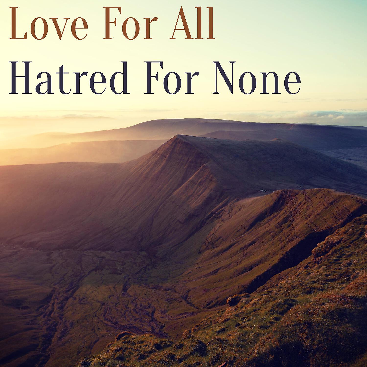 Релиз Love for All, Hatred for None