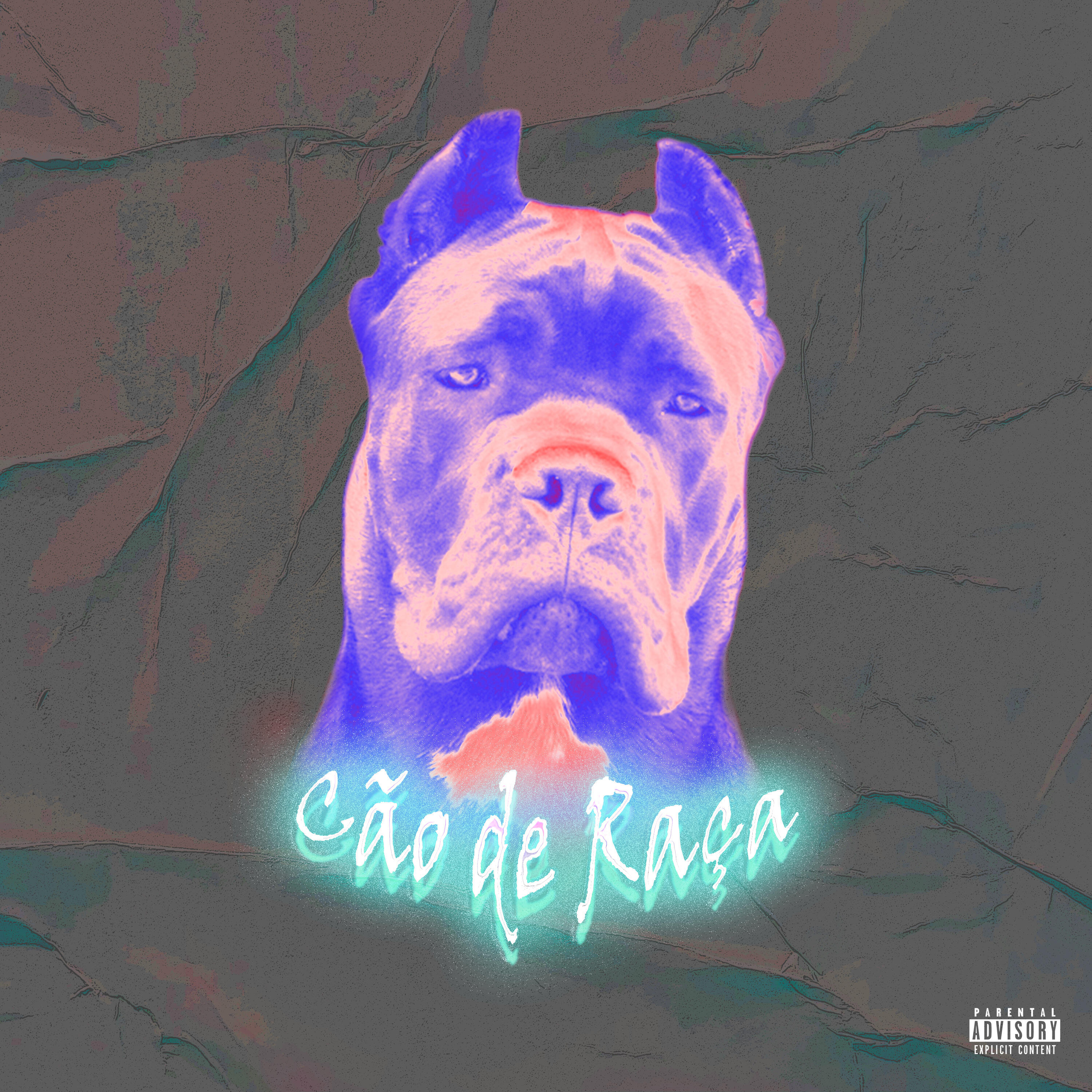 Релиз Cão de Raça