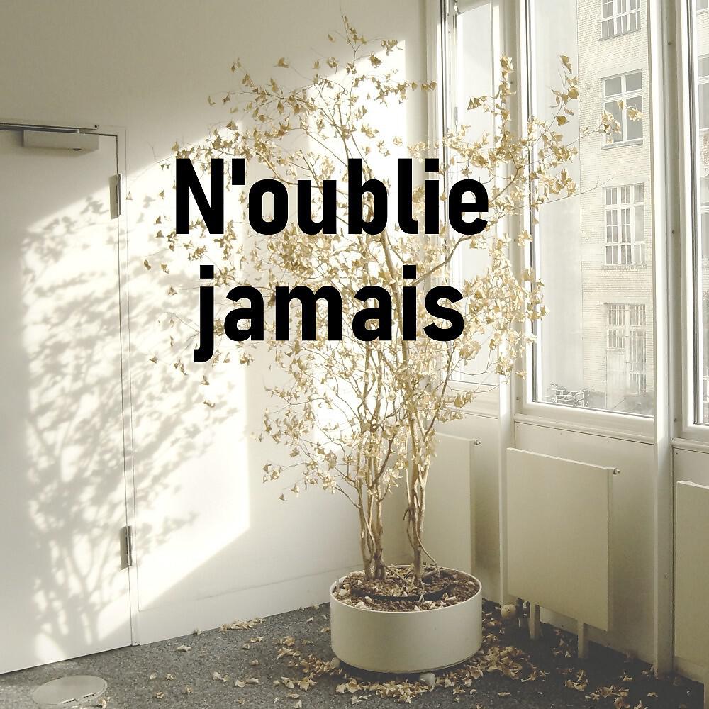Релиз N'oublie jamais