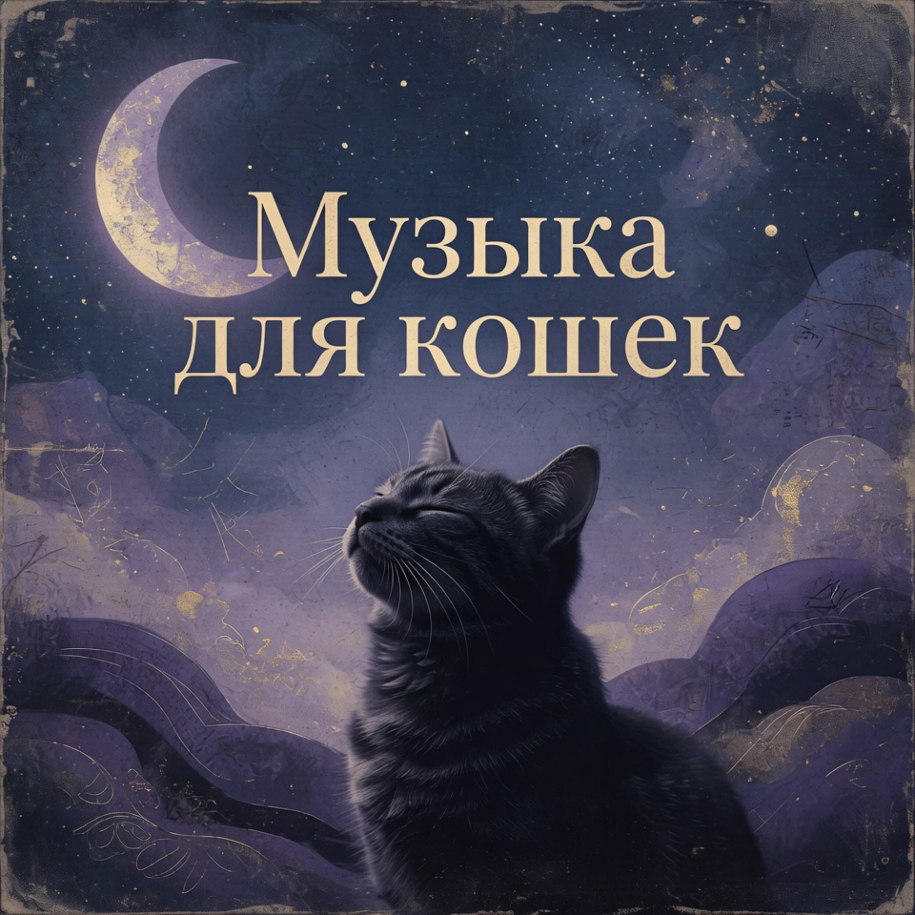 Релиз Музыка для кошек
