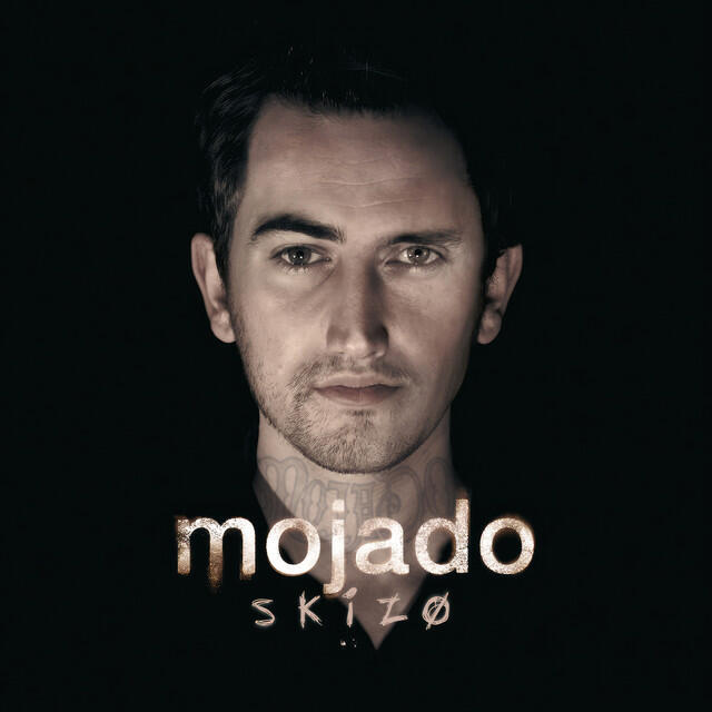 Релиз Skizo (Platinum Edition)