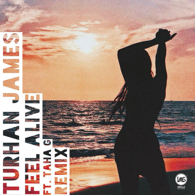 Релиз Feel Alive (Turhan James & Sidd VIP Remix)