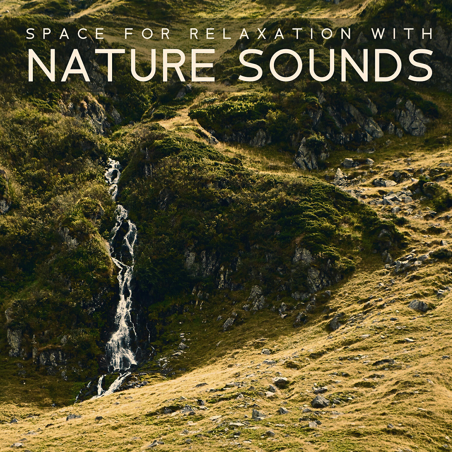 Релиз Space for Relaxation with Nature Sounds – Deep Meditation and Peaceful Moment for Rest, New Age Music