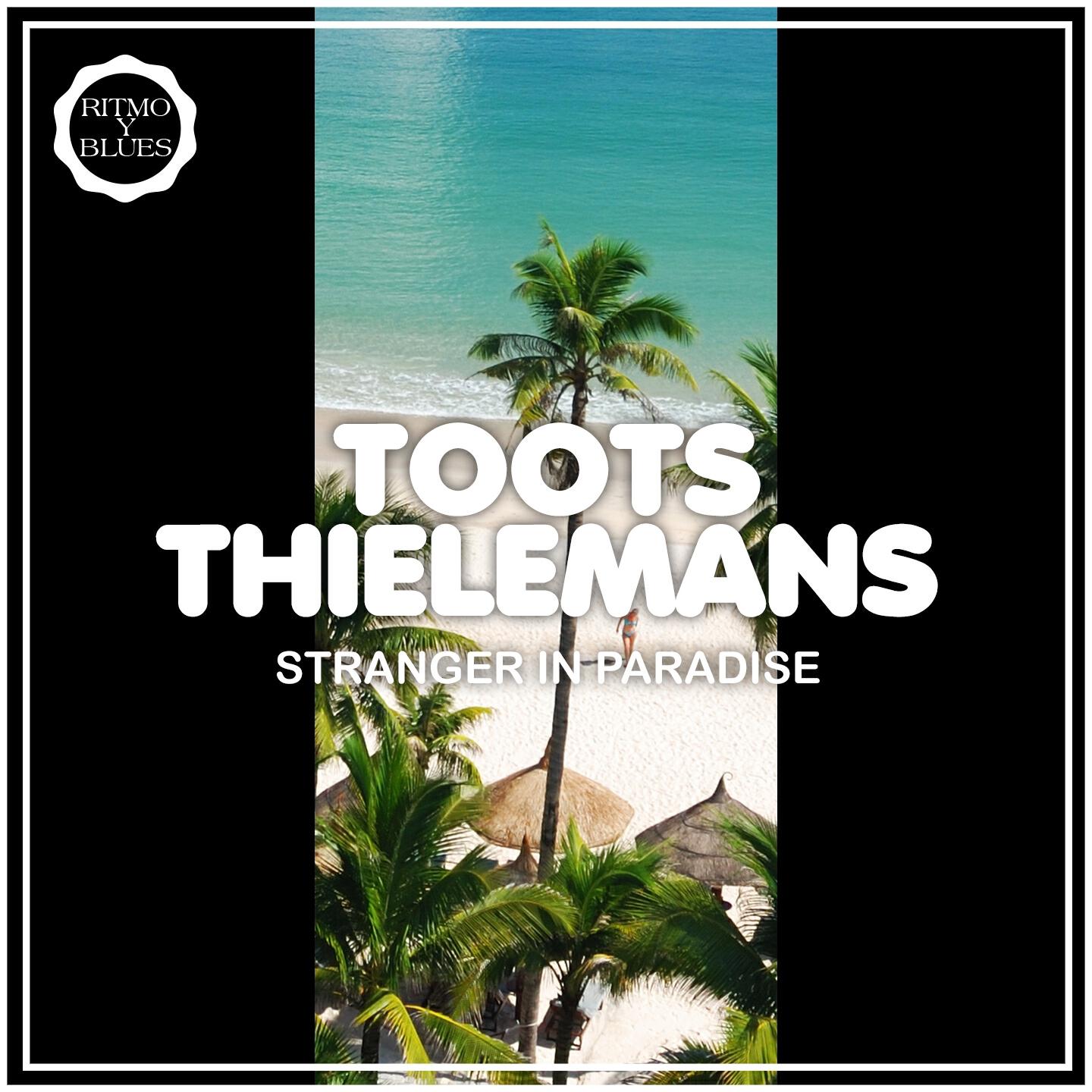 Релиз Stranger in Paradise