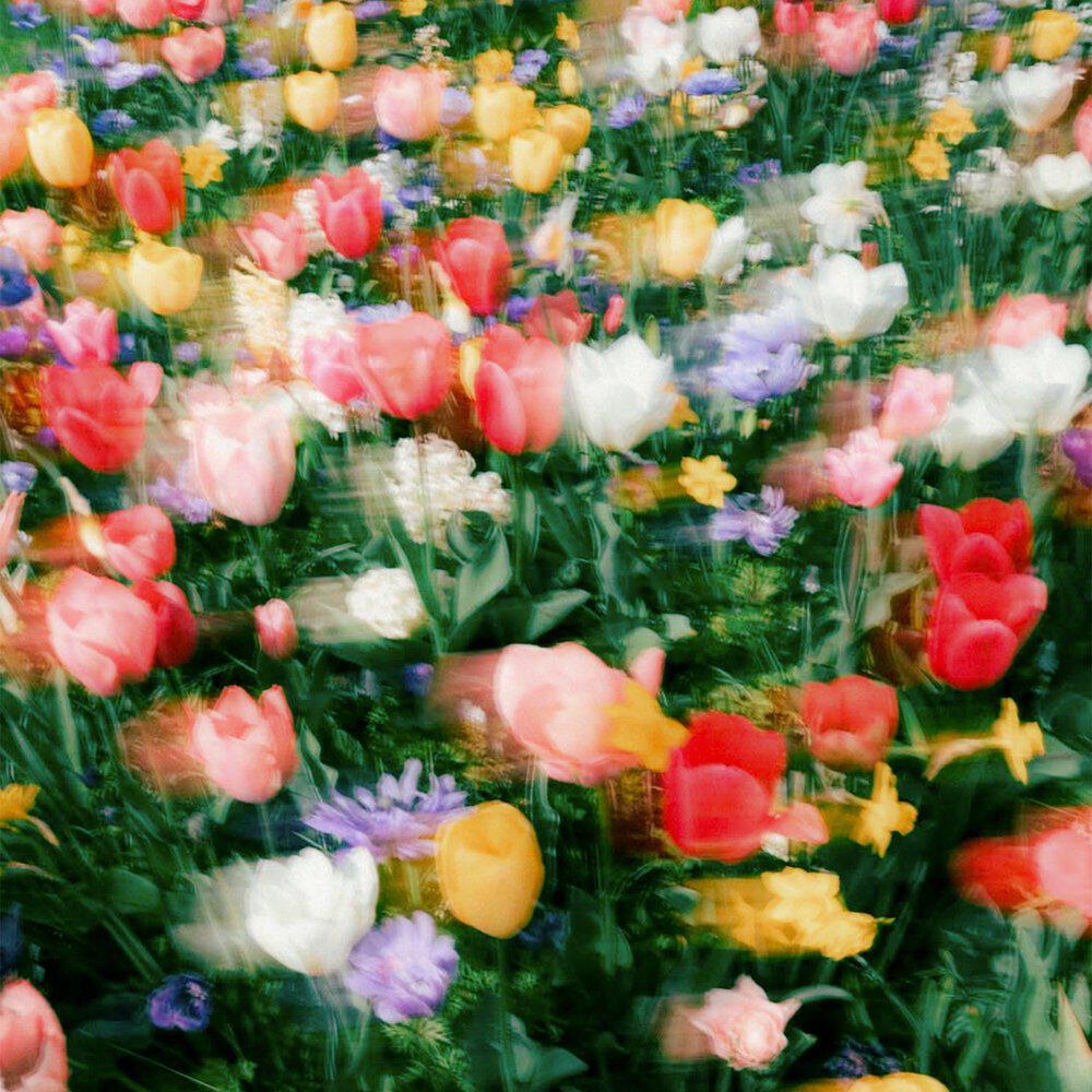 Релиз Flowers