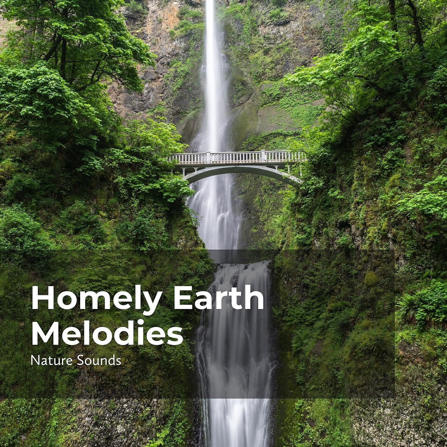 Релиз Homely Earth Melodies