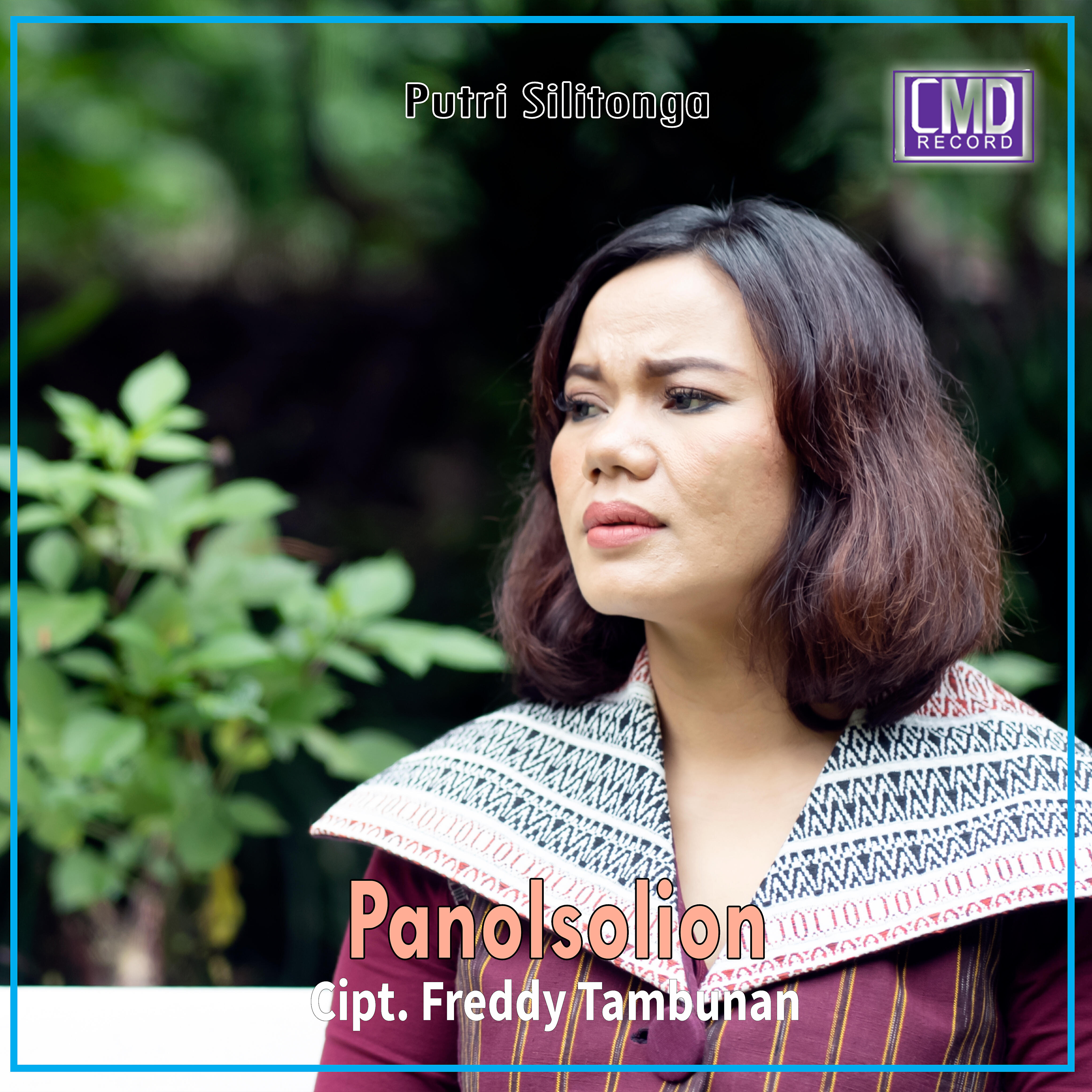 Релиз Panolsolion