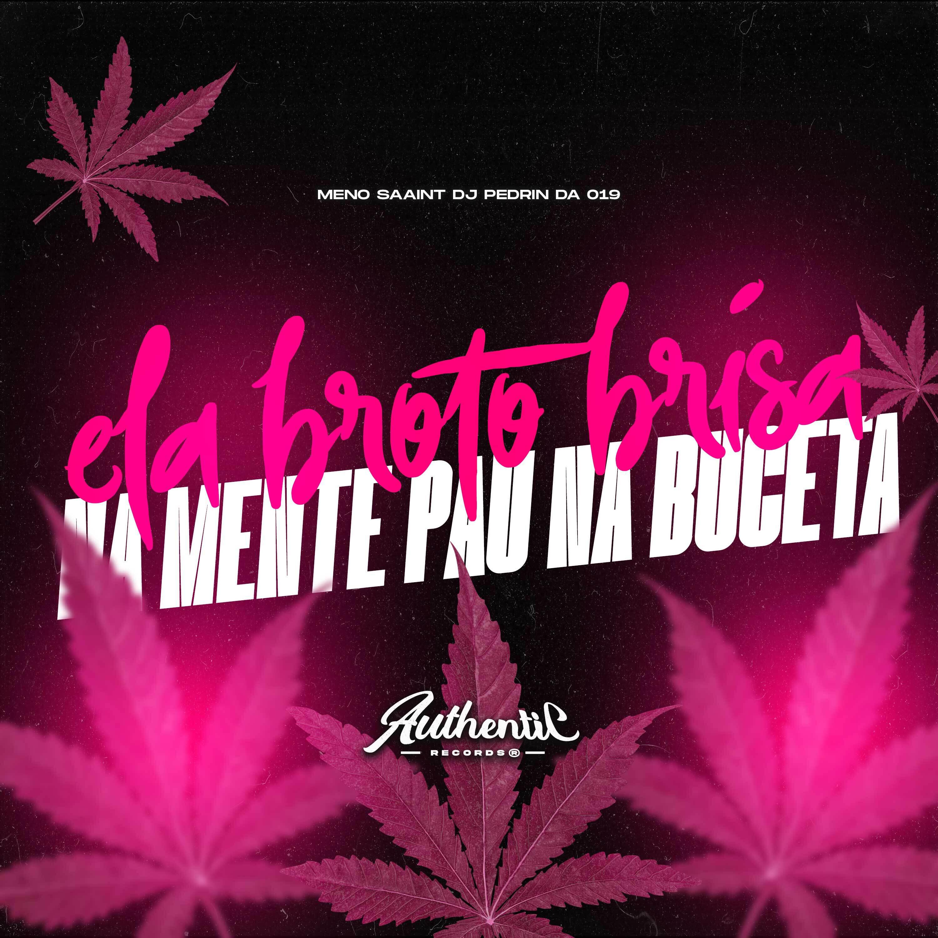 Скачать песню DJ PEDRIN DA 019, Meno Saaint - Ela Broto Brisa na Mente Pau na Buceta бесплатно в MP3 для Android и iOS