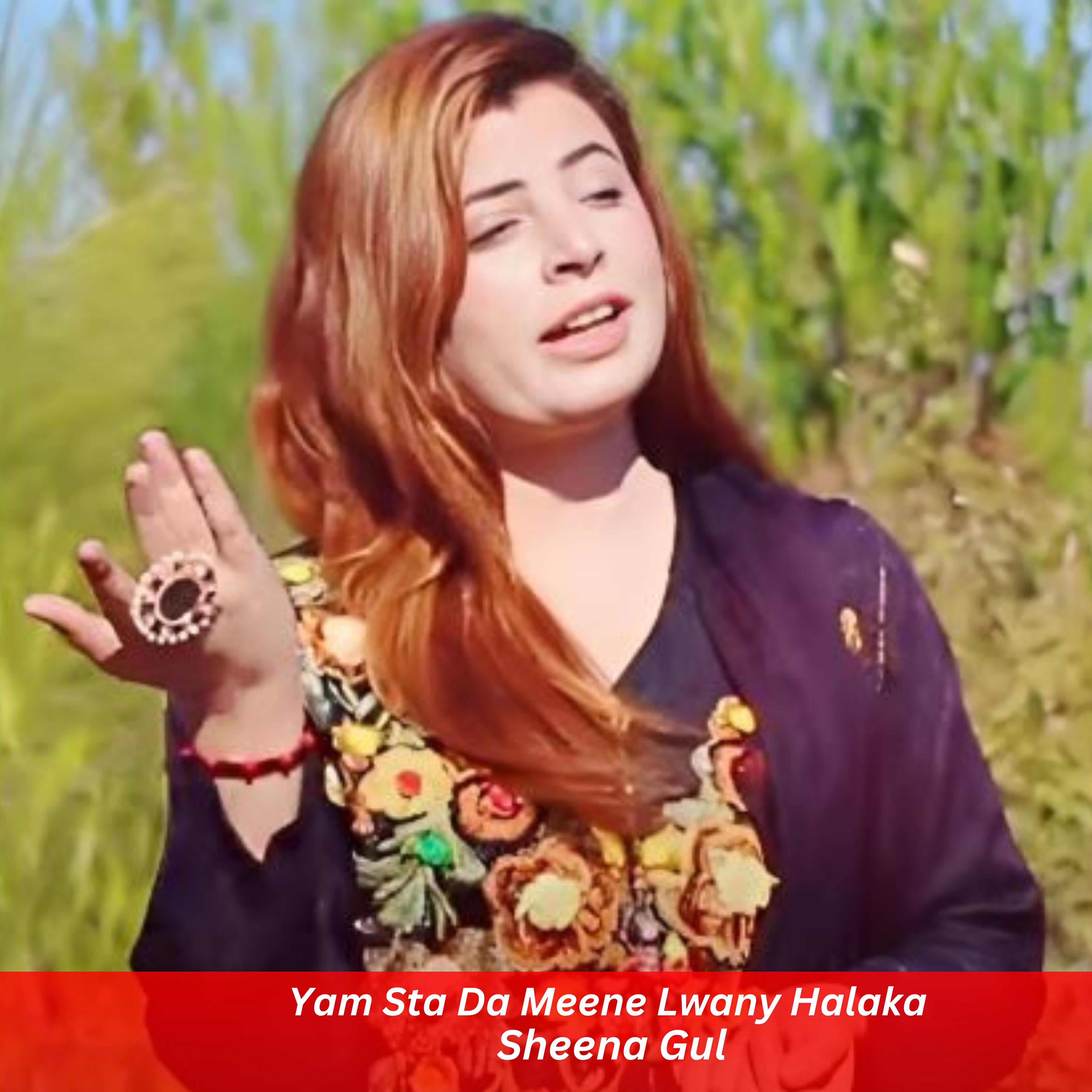 Релиз Yam Sta Da Meene Lwany Halaka