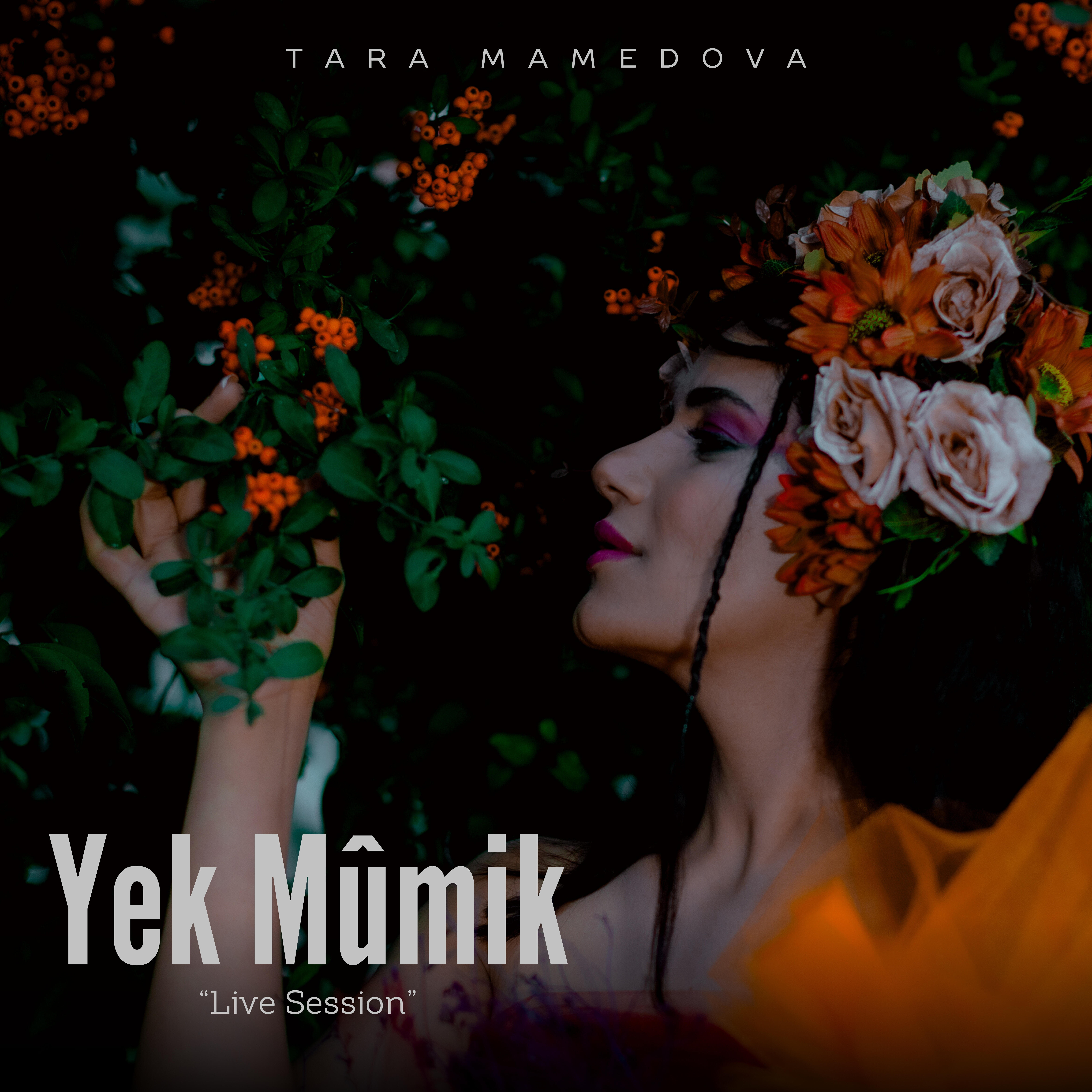 Релиз Yek Mûmik