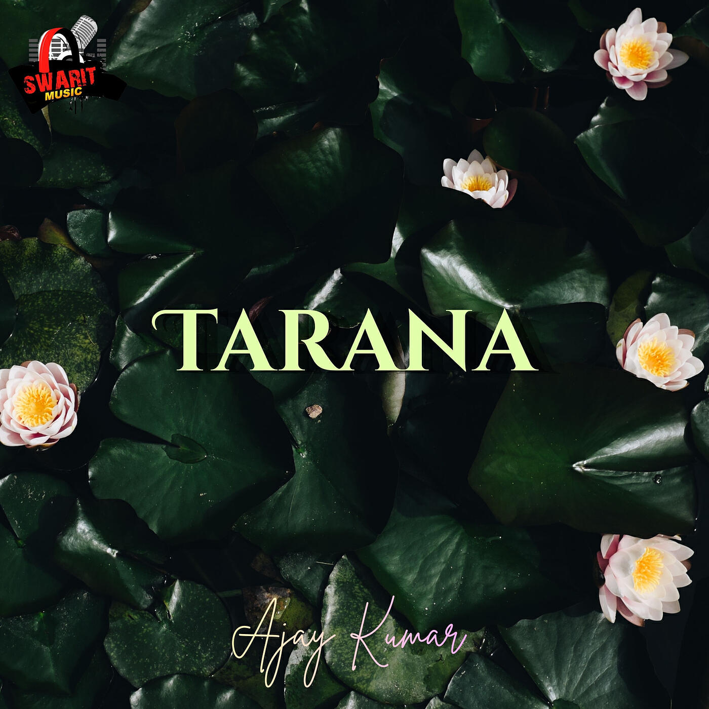 Релиз Tarana