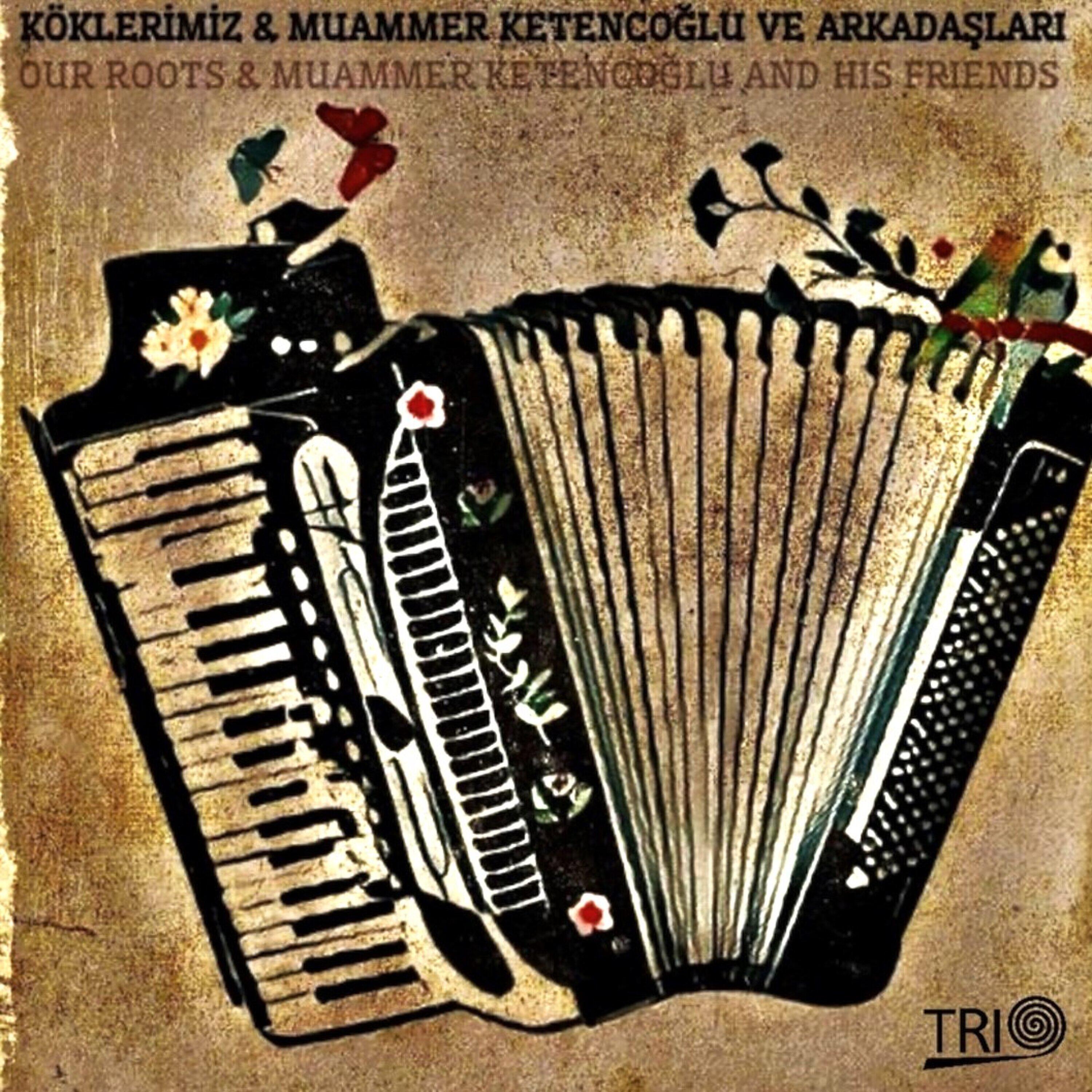Релиз Köklerimiz