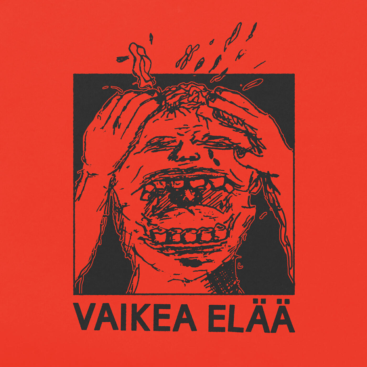 Релиз Vaikea elää