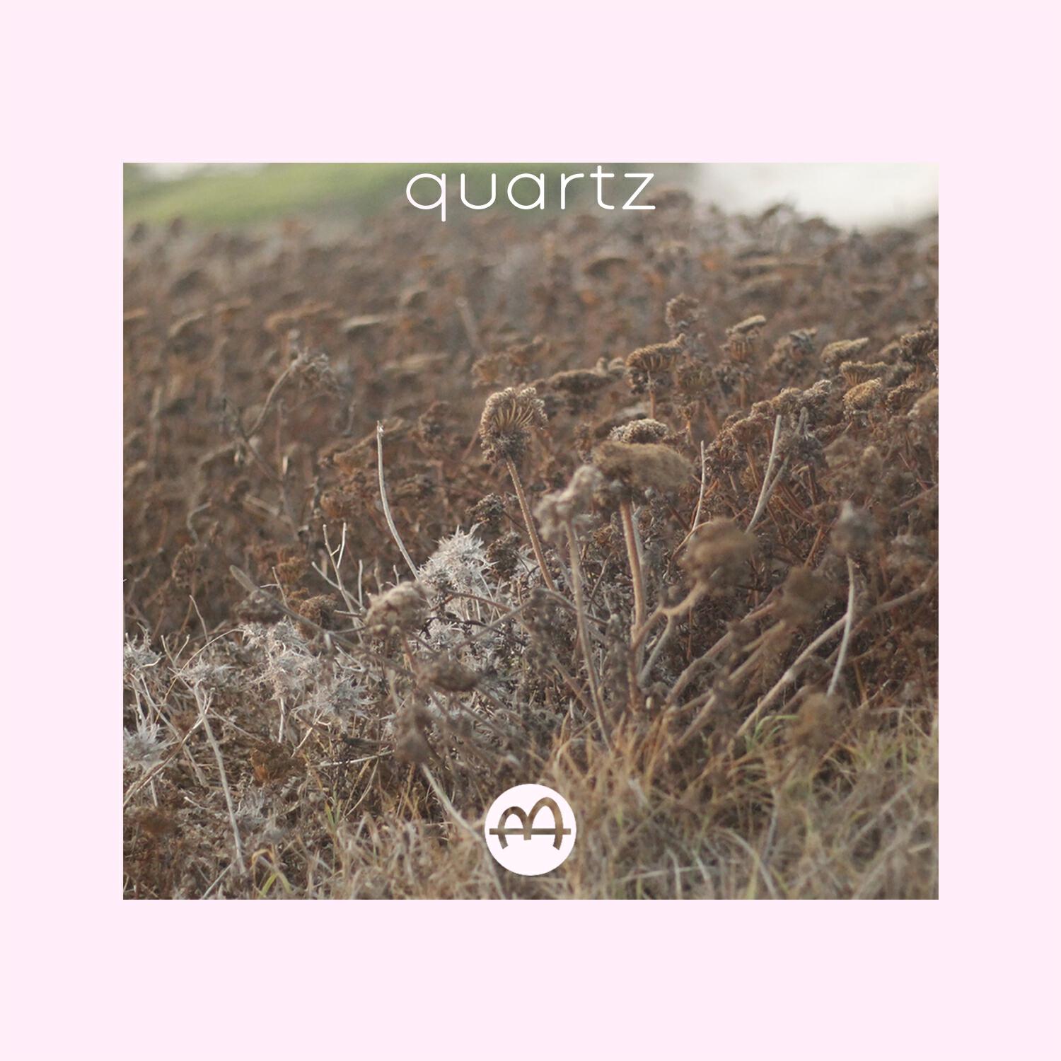 Релиз Quartz