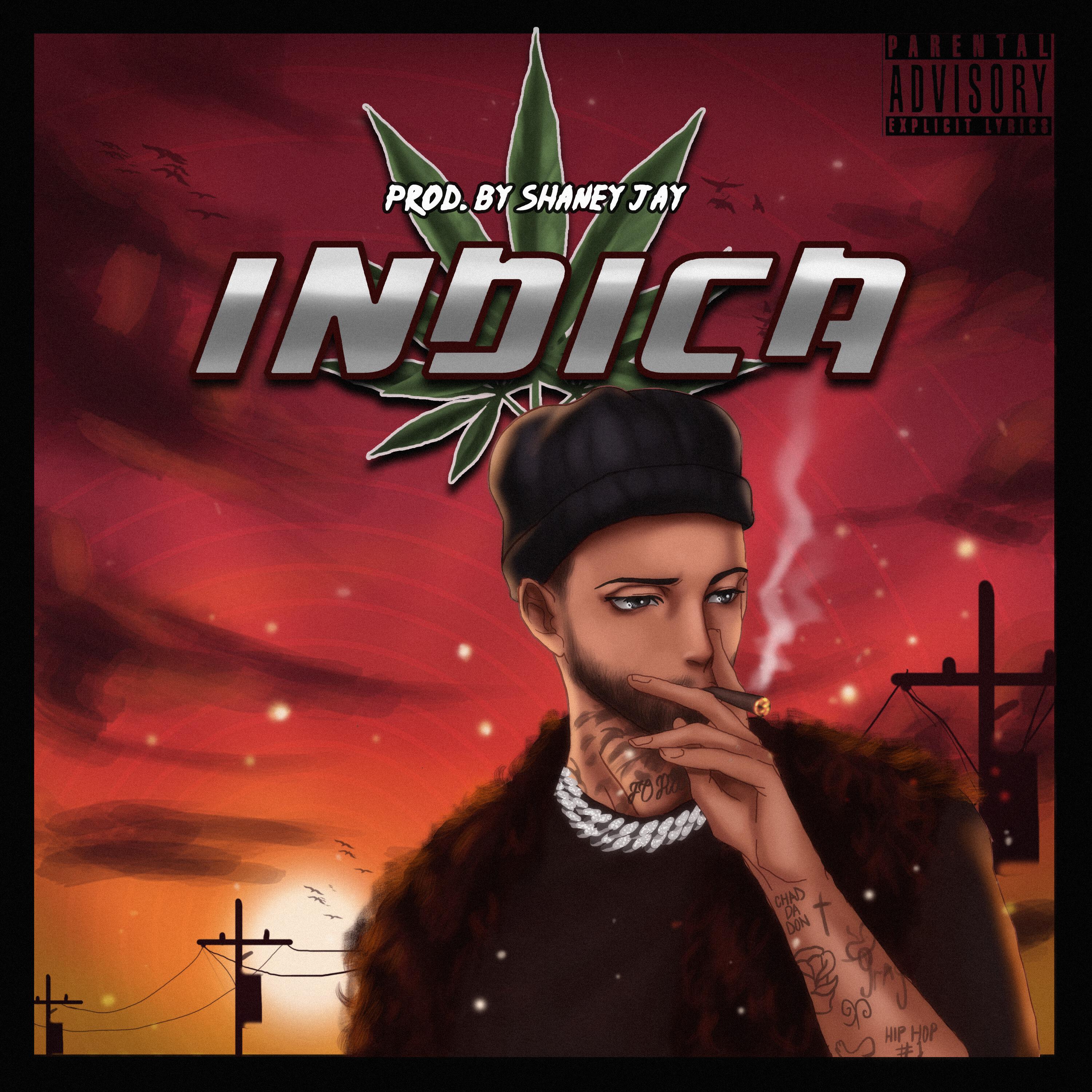 Релиз INDICA