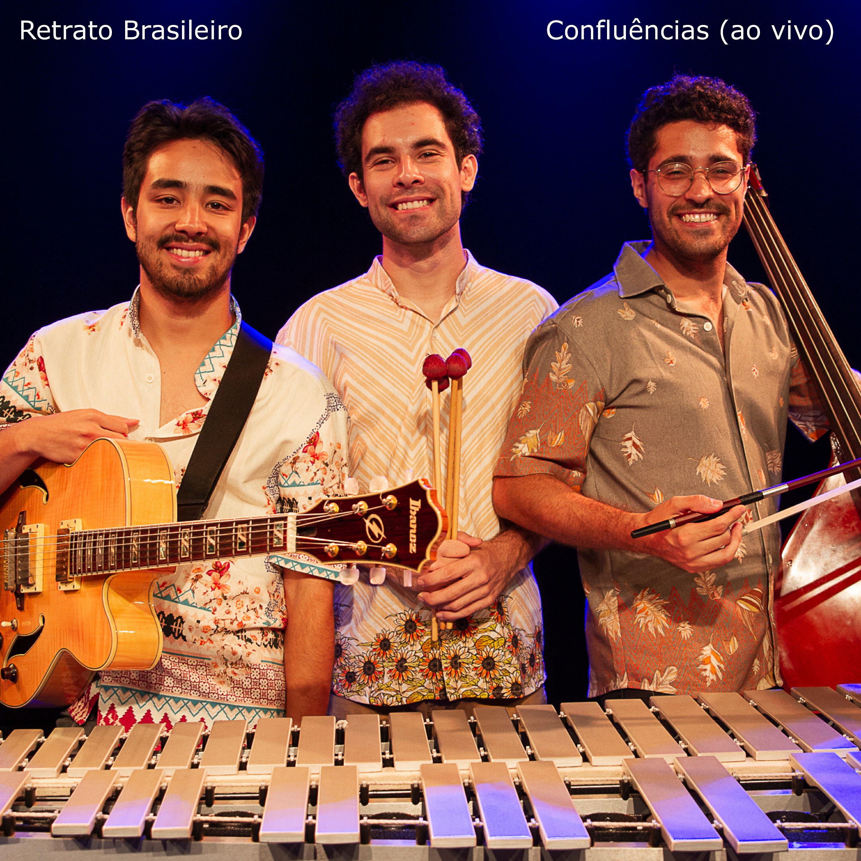 Retrato Brasileiro