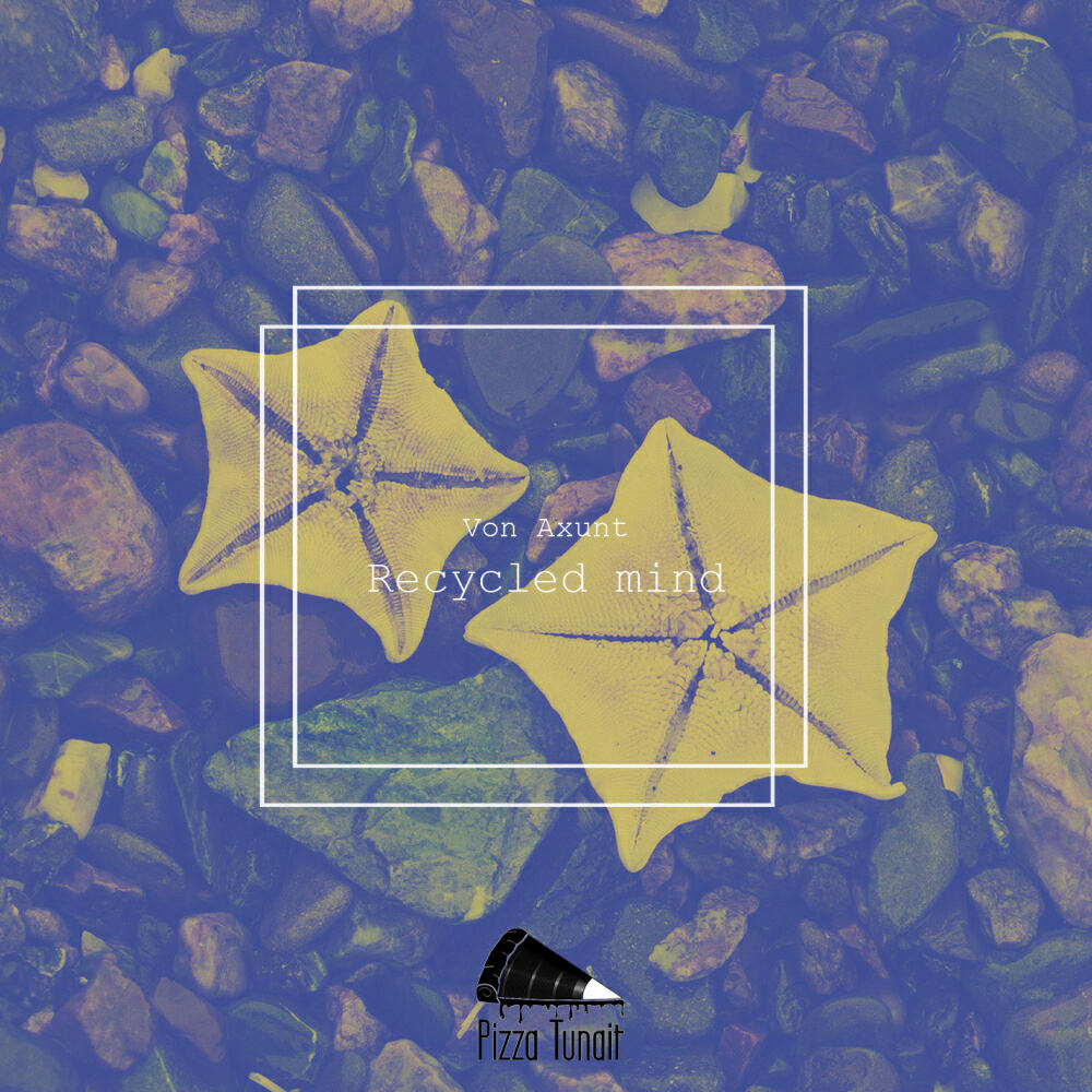 Релиз Recycled Mind