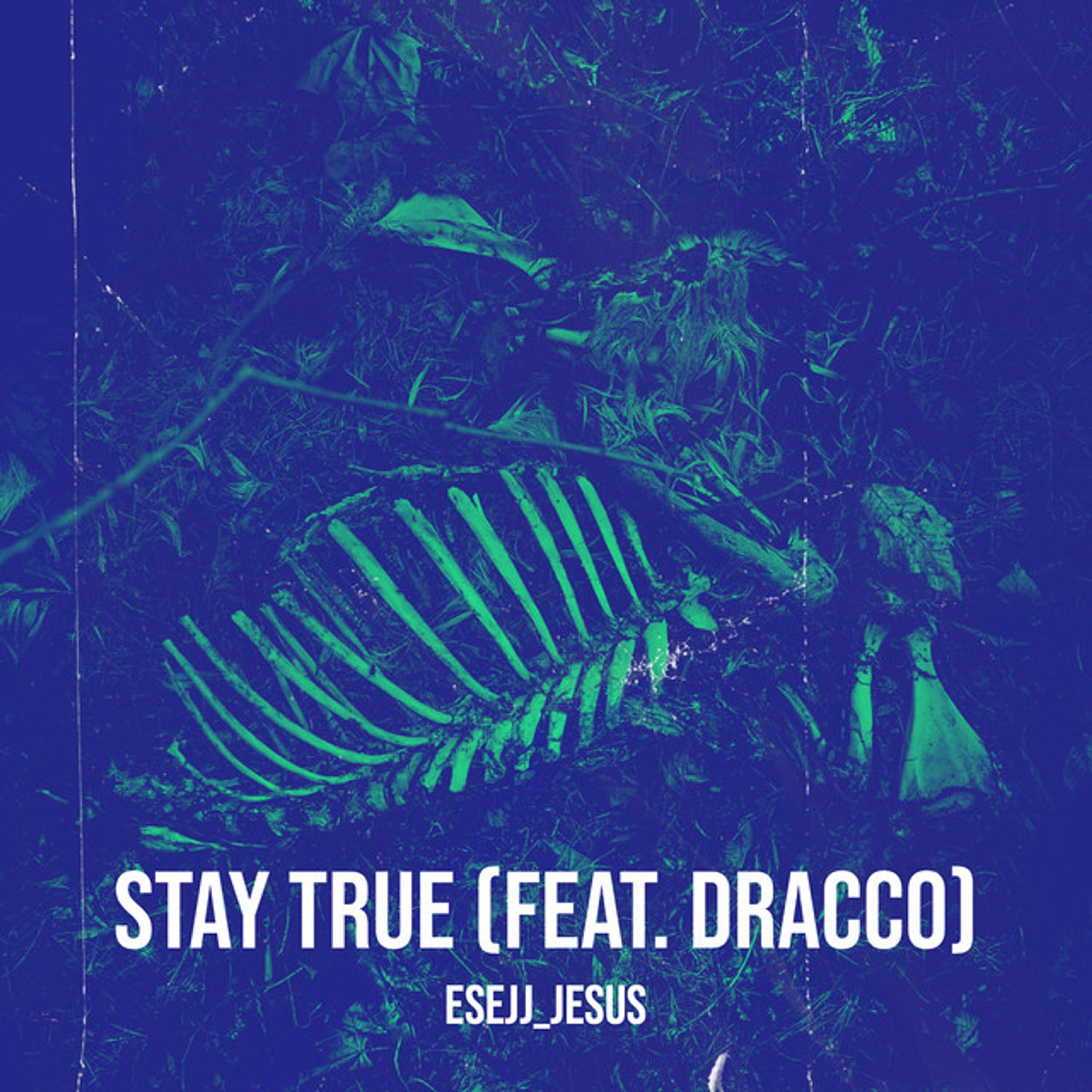 Dracco