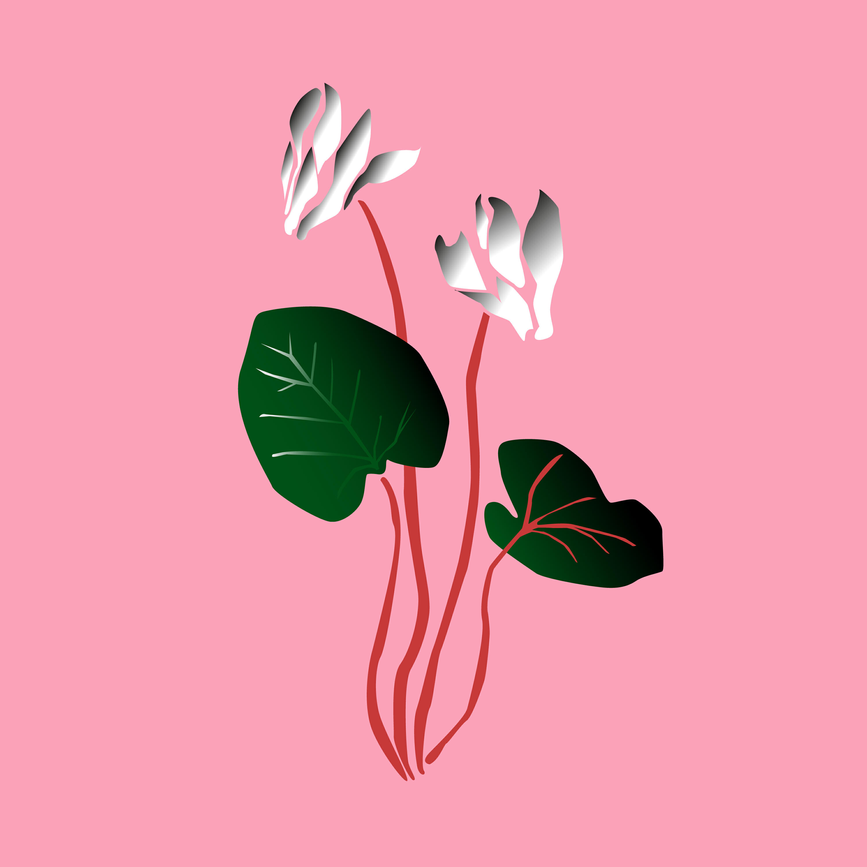 Релиз Cyclamen