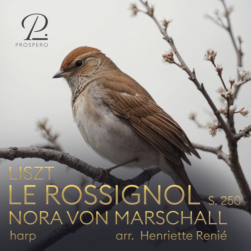 Релиз Liszt: Le Rossignol, S. 250 "Air russe de A. Alabieff" (Arr. for Harp by Henriette Renié)