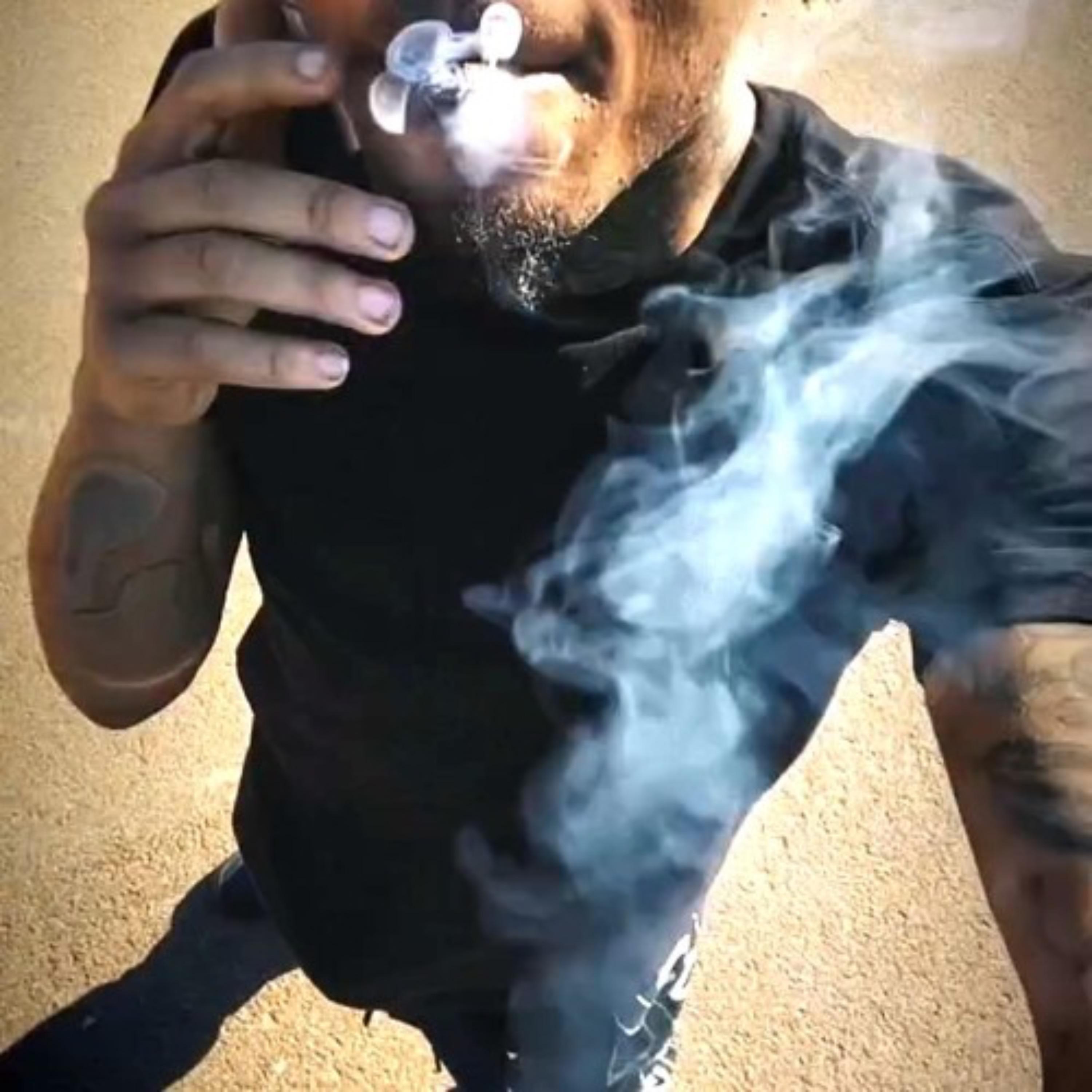 Релиз Backwood
