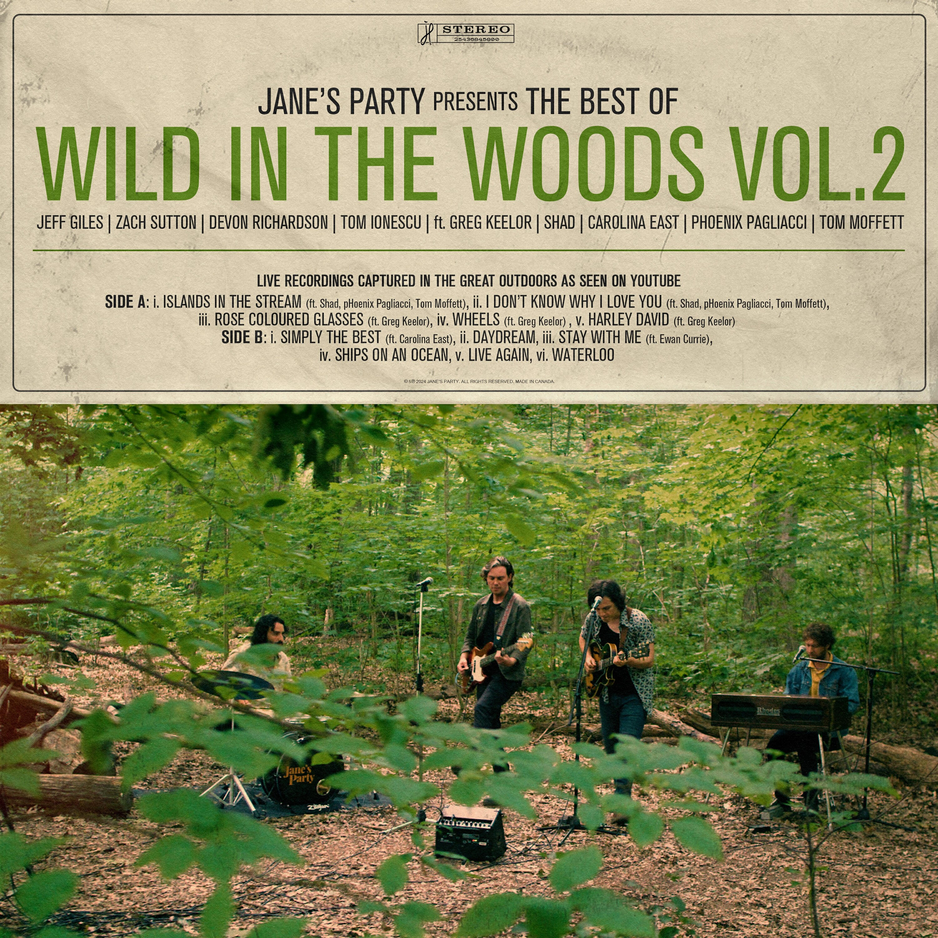 Релиз The Best of Wild In the Woods Vol.2