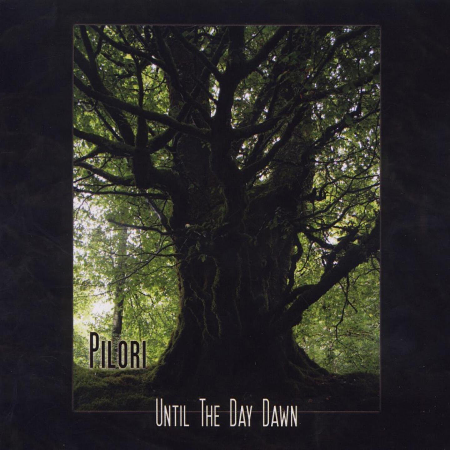 Релиз Until the Day Dawn