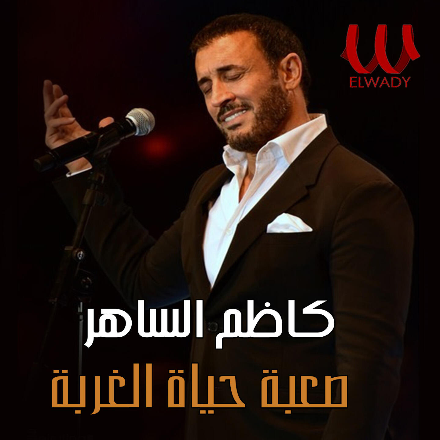 Релиз صعبة حياة الغربة