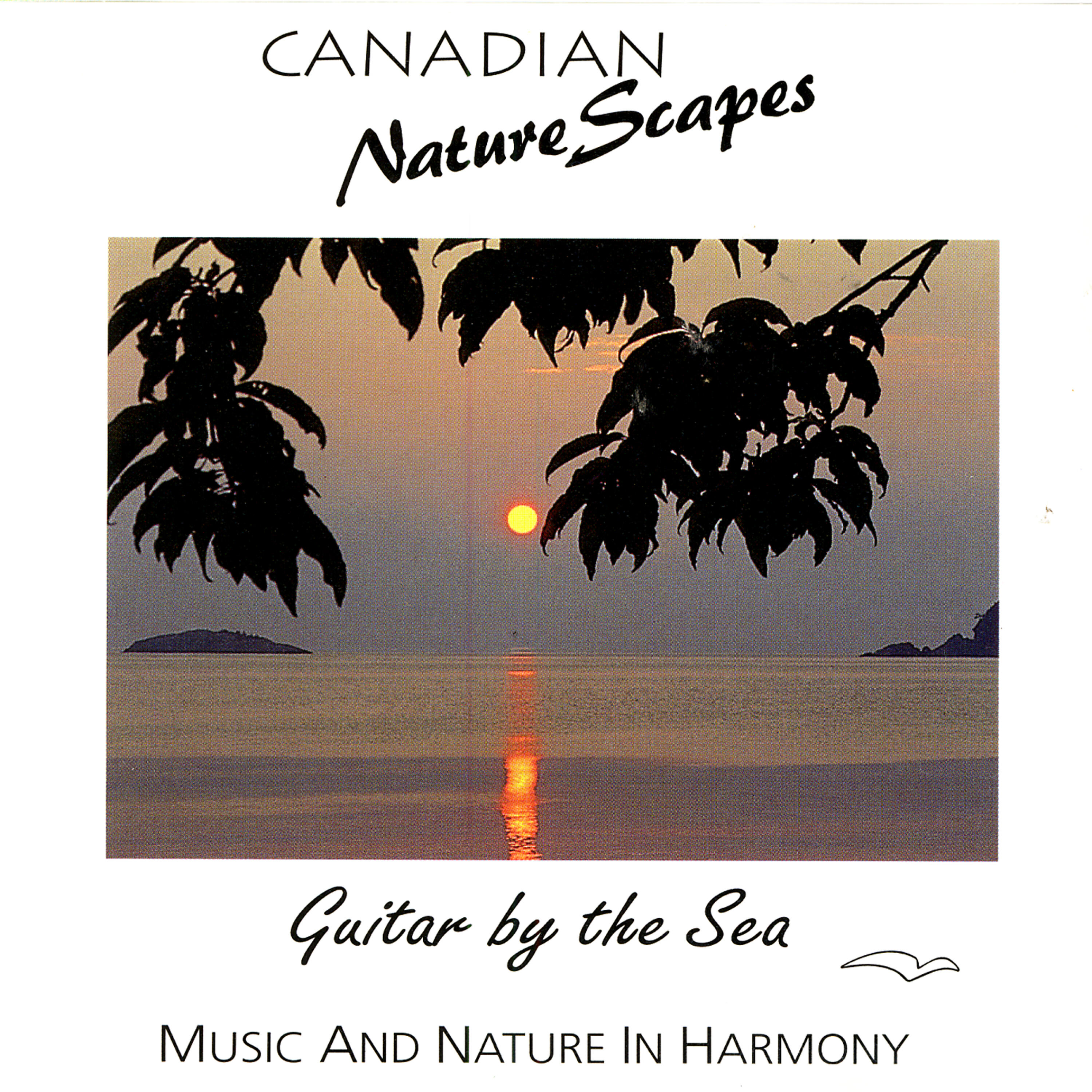 Релиз Guitar By The Sea