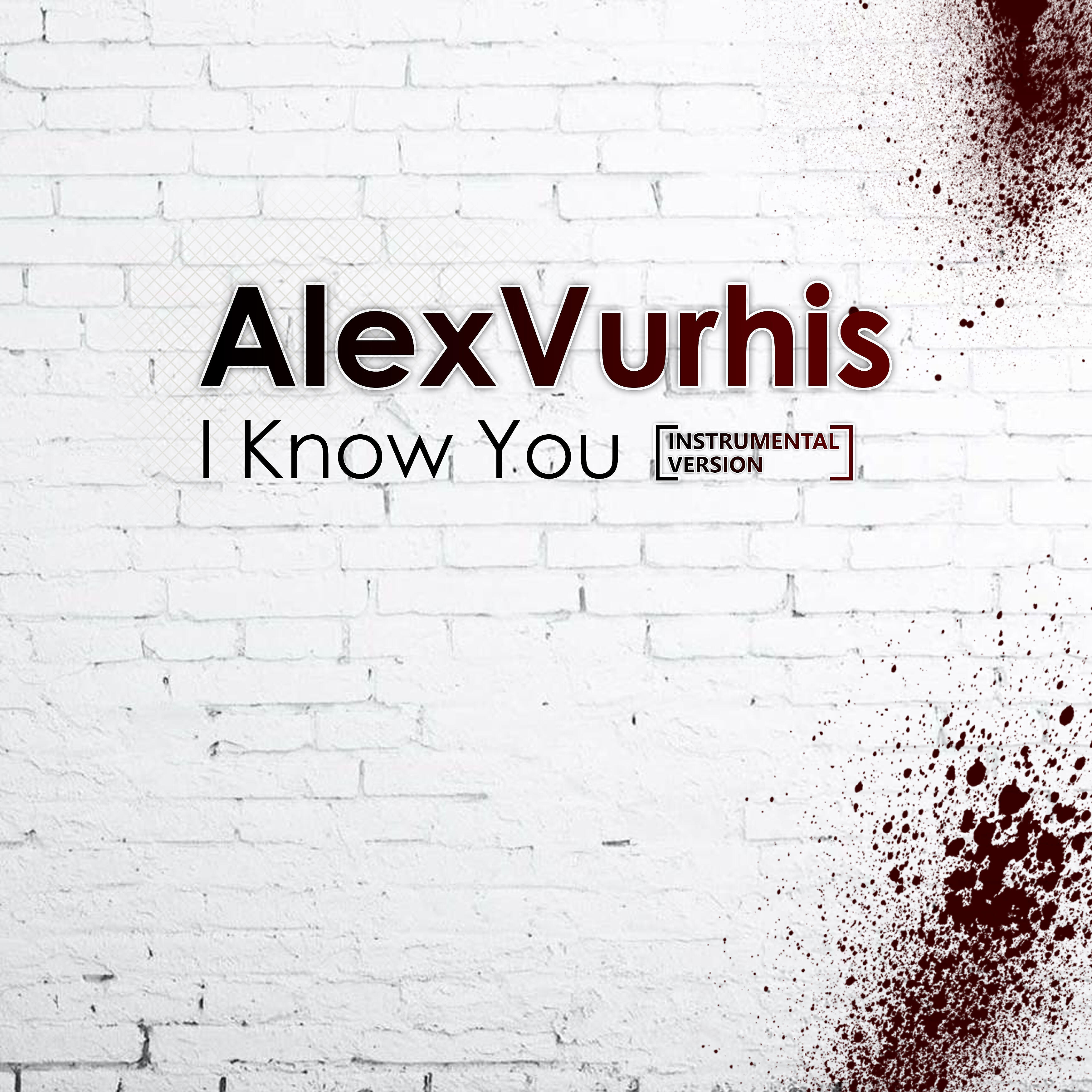 Постер альбома I Know You (Instrumental Version)