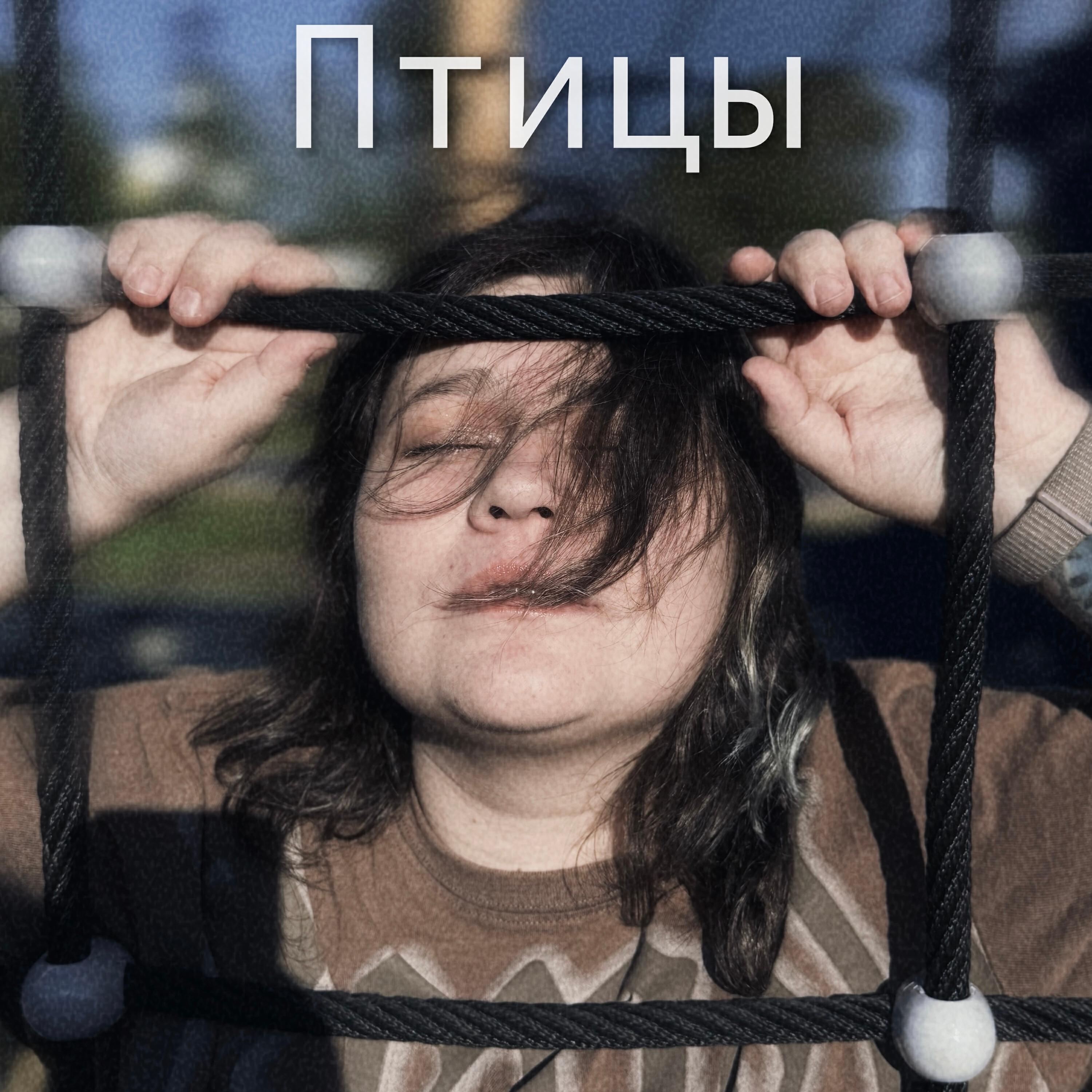 Релиз Птицы