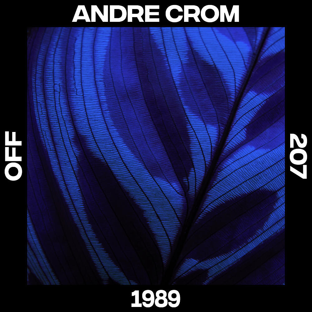 Релиз 1989