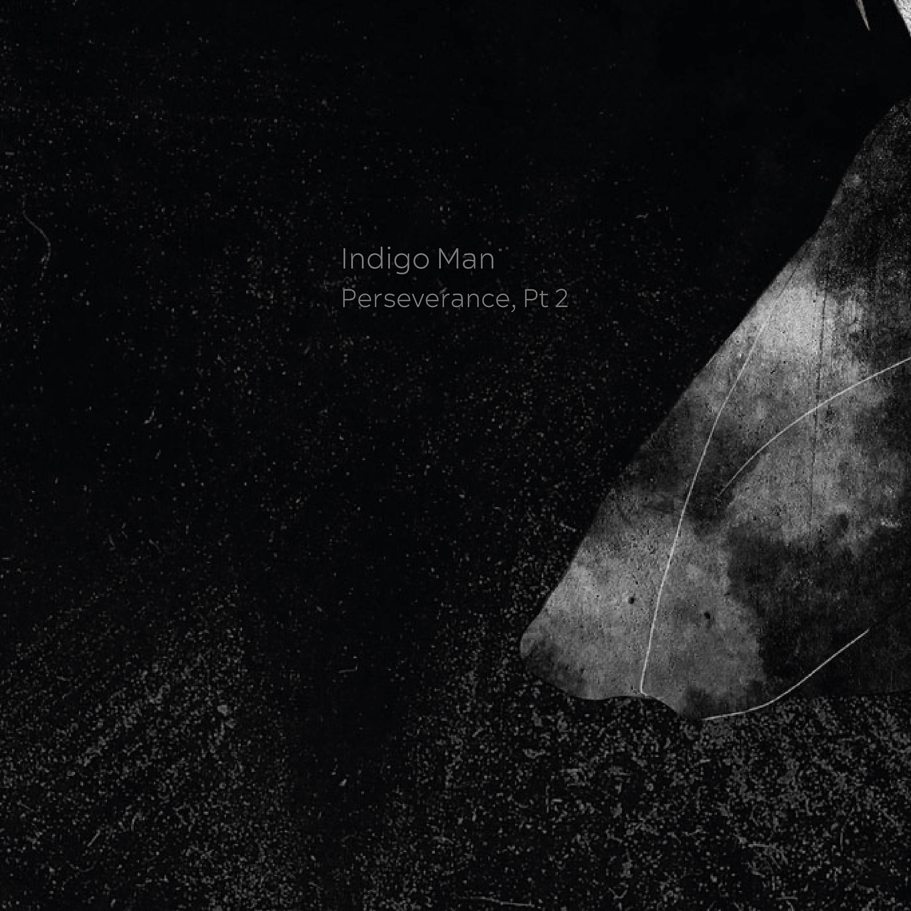 Релиз Perseverance, Pt. 2