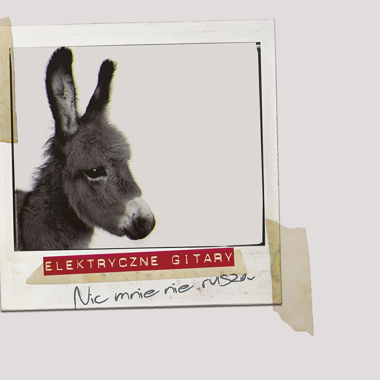 Релиз Nic Mnie Nie Rusza