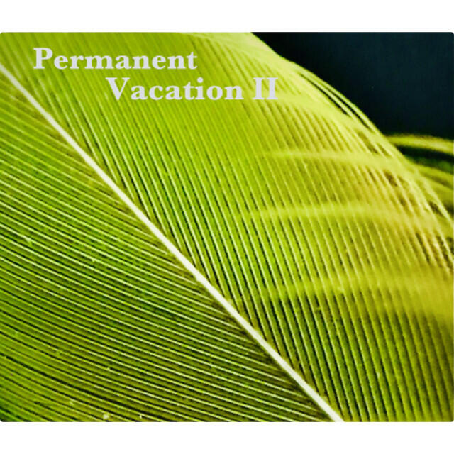 Релиз Permanent Vacation 2