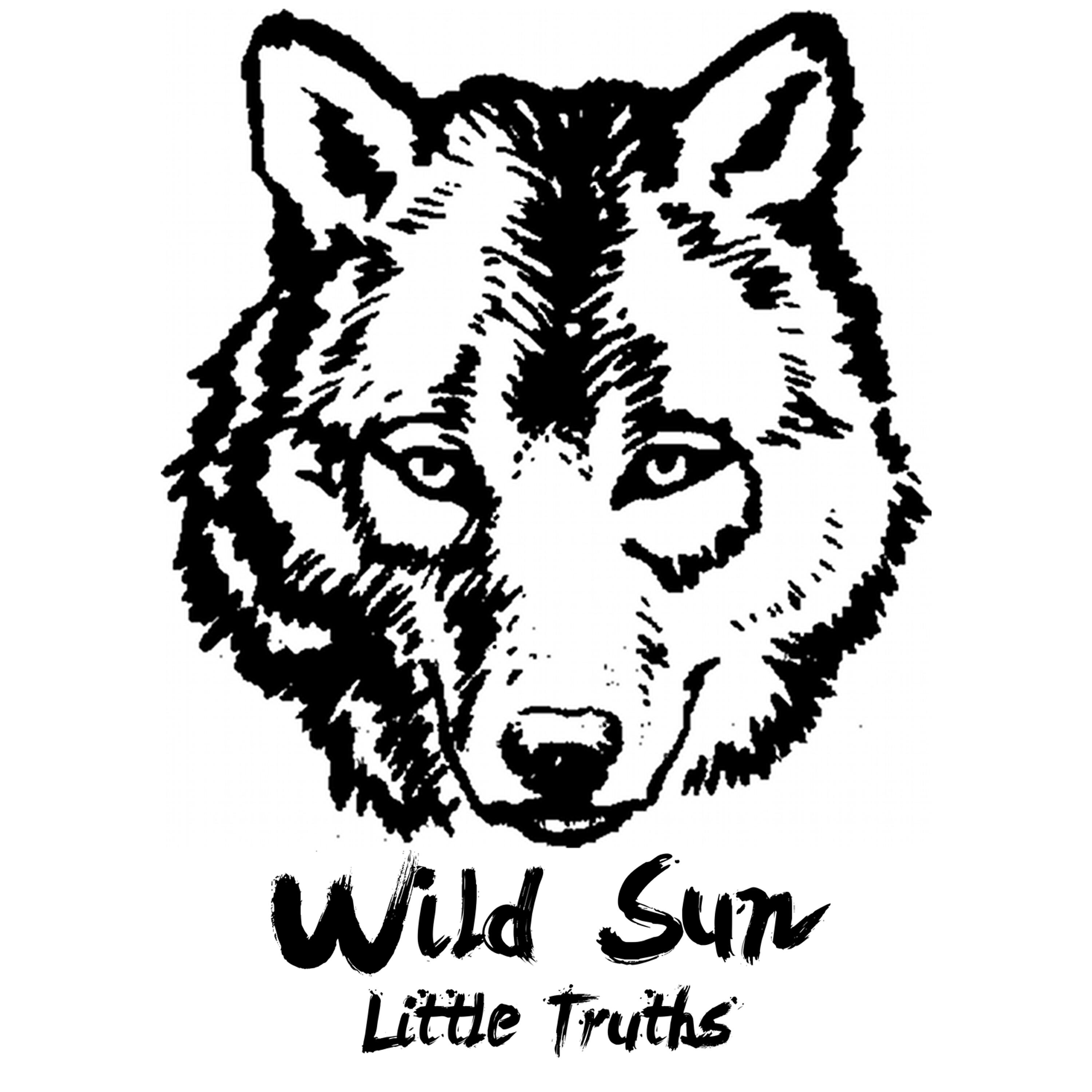 Релиз Little Truths