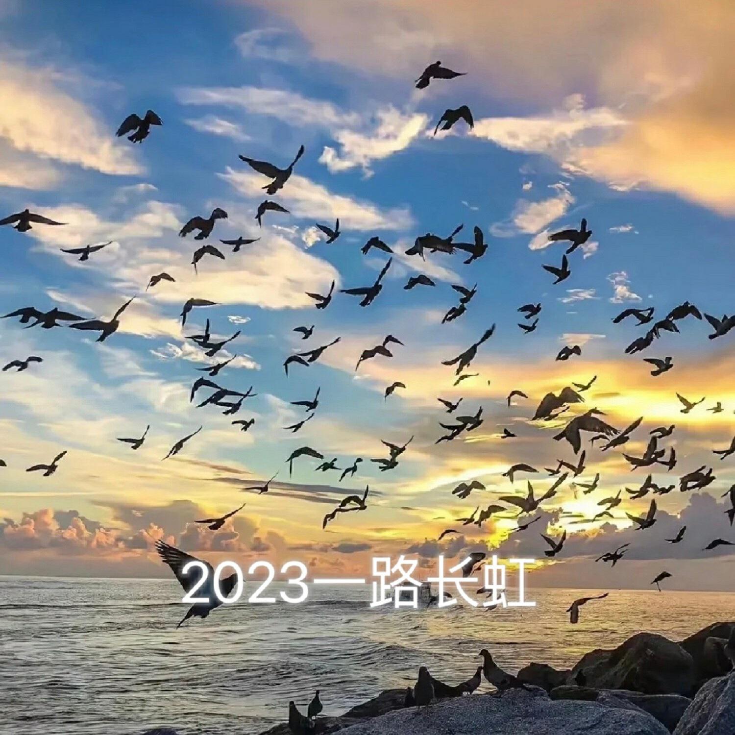 Релиз 2023一路长虹