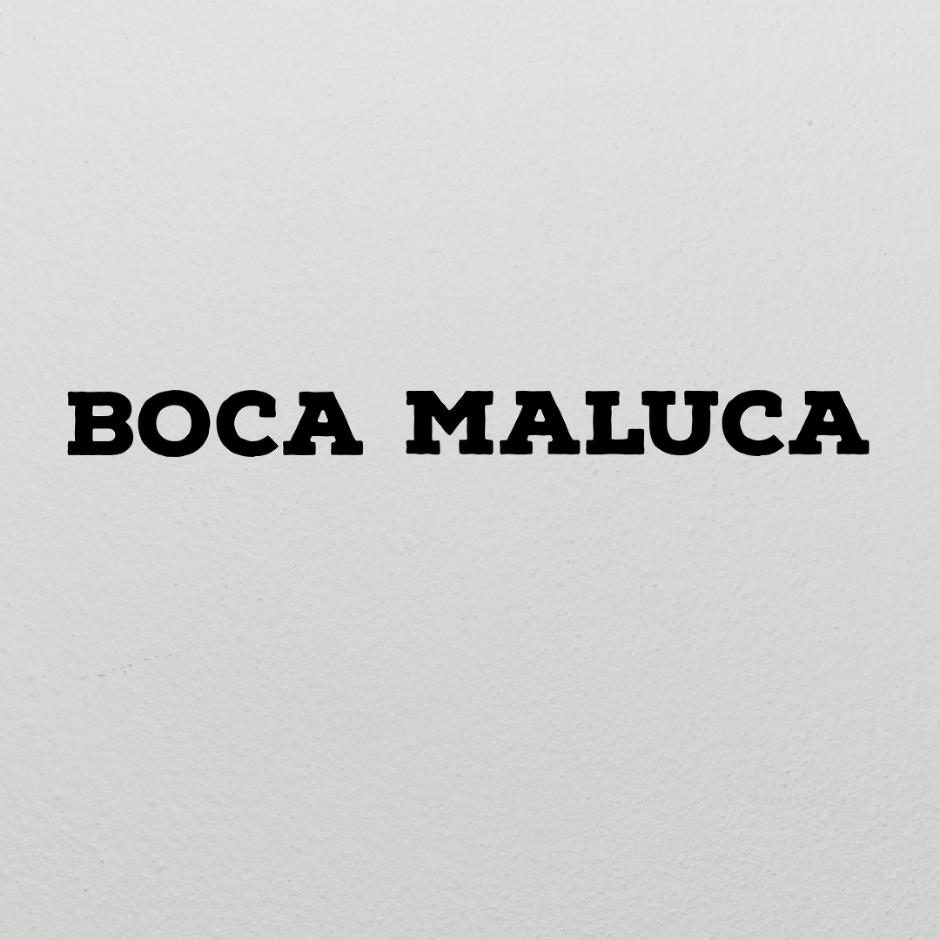 Скачать песню MC VM da ZS, DJ DEZINHO - Boca Maluca бесплатно в MP3 для Android и iOS