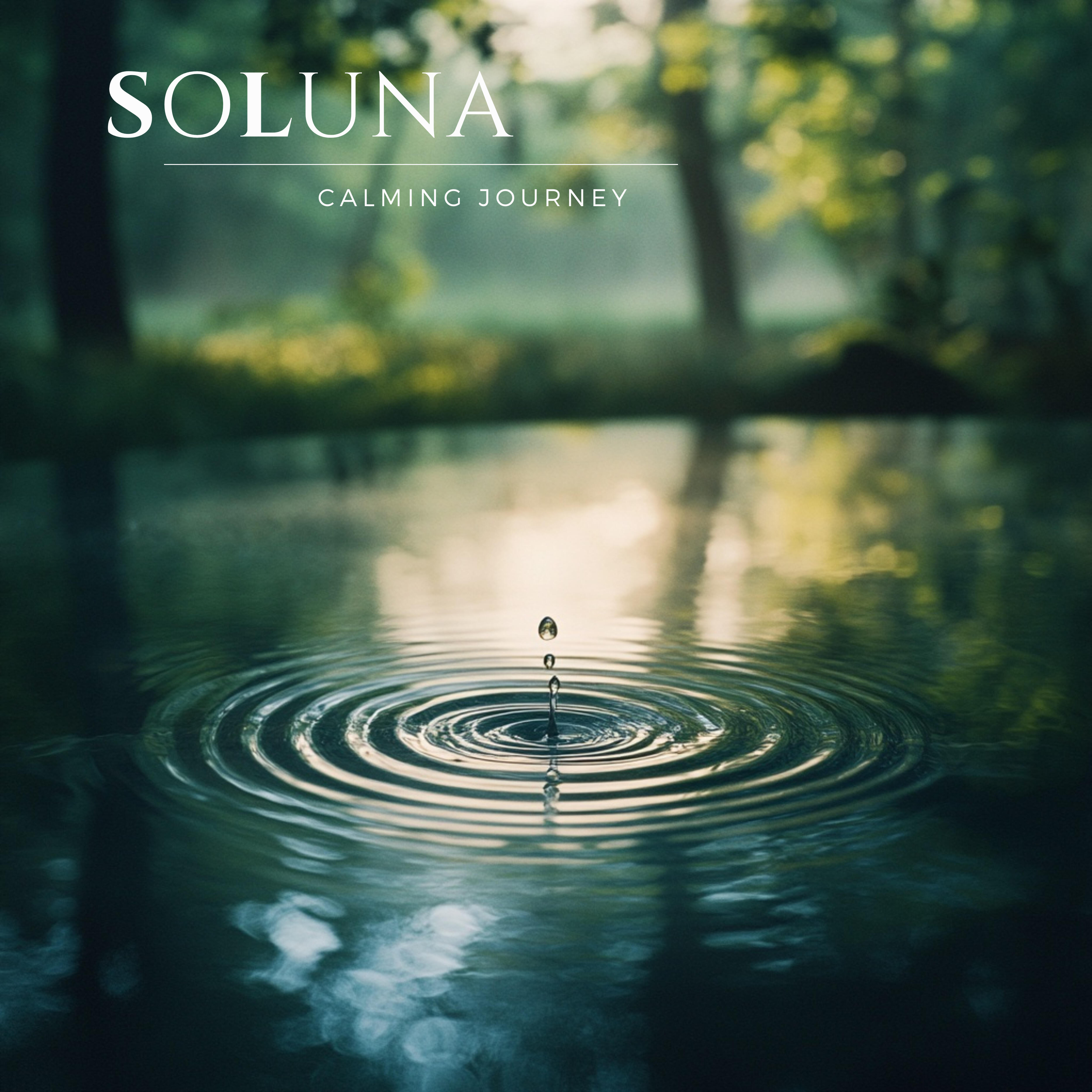 Релиз Calming Journey