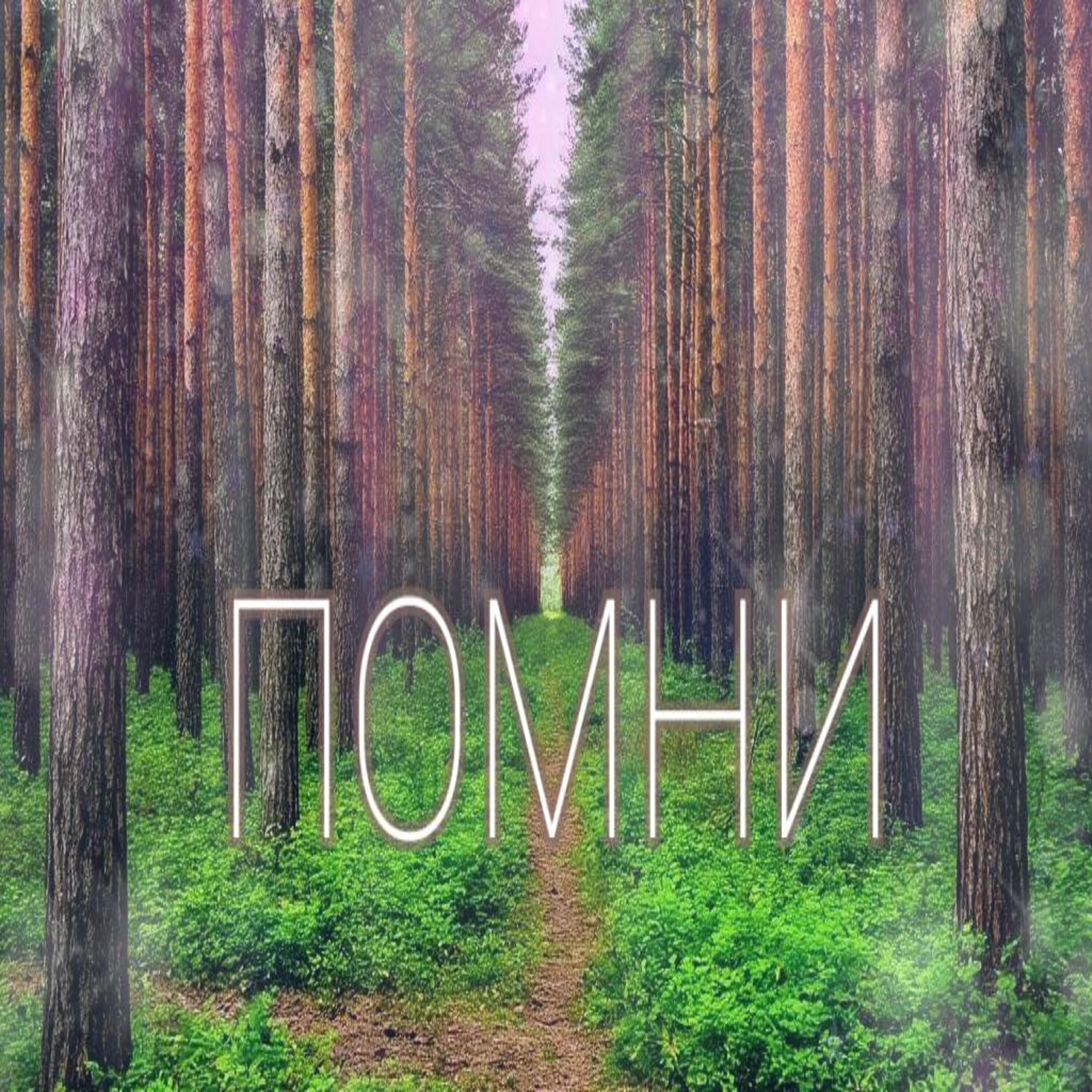 Постер альбома Помни