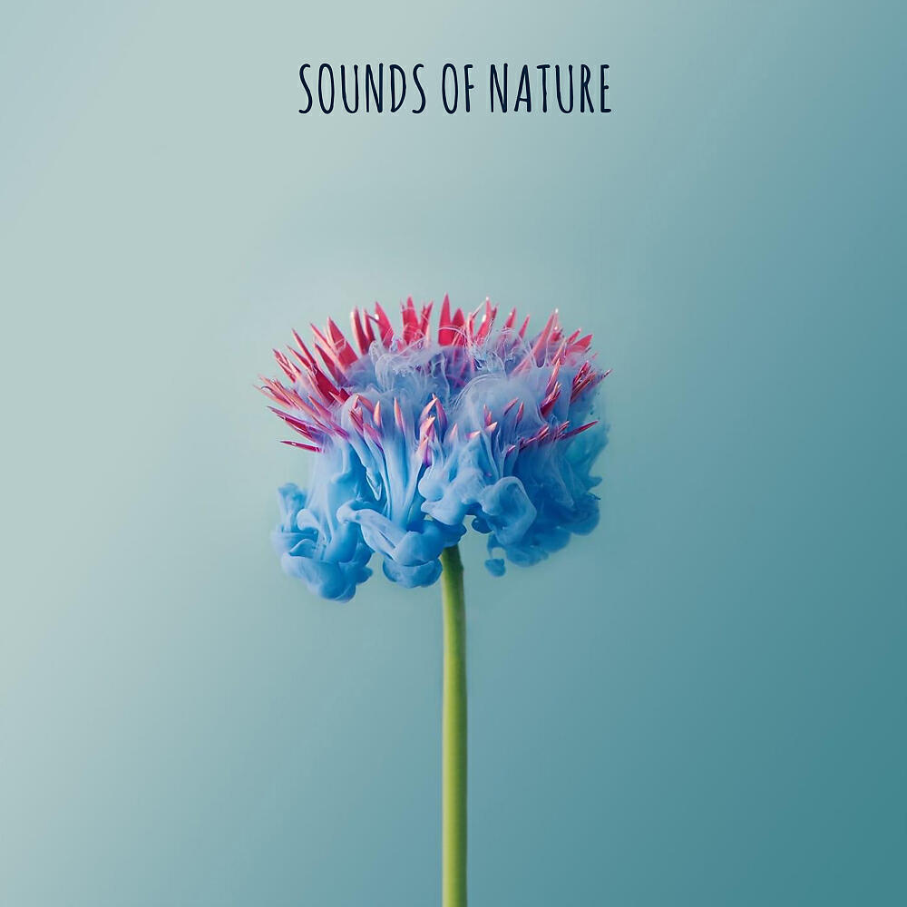 Релиз Sounds Of Nature