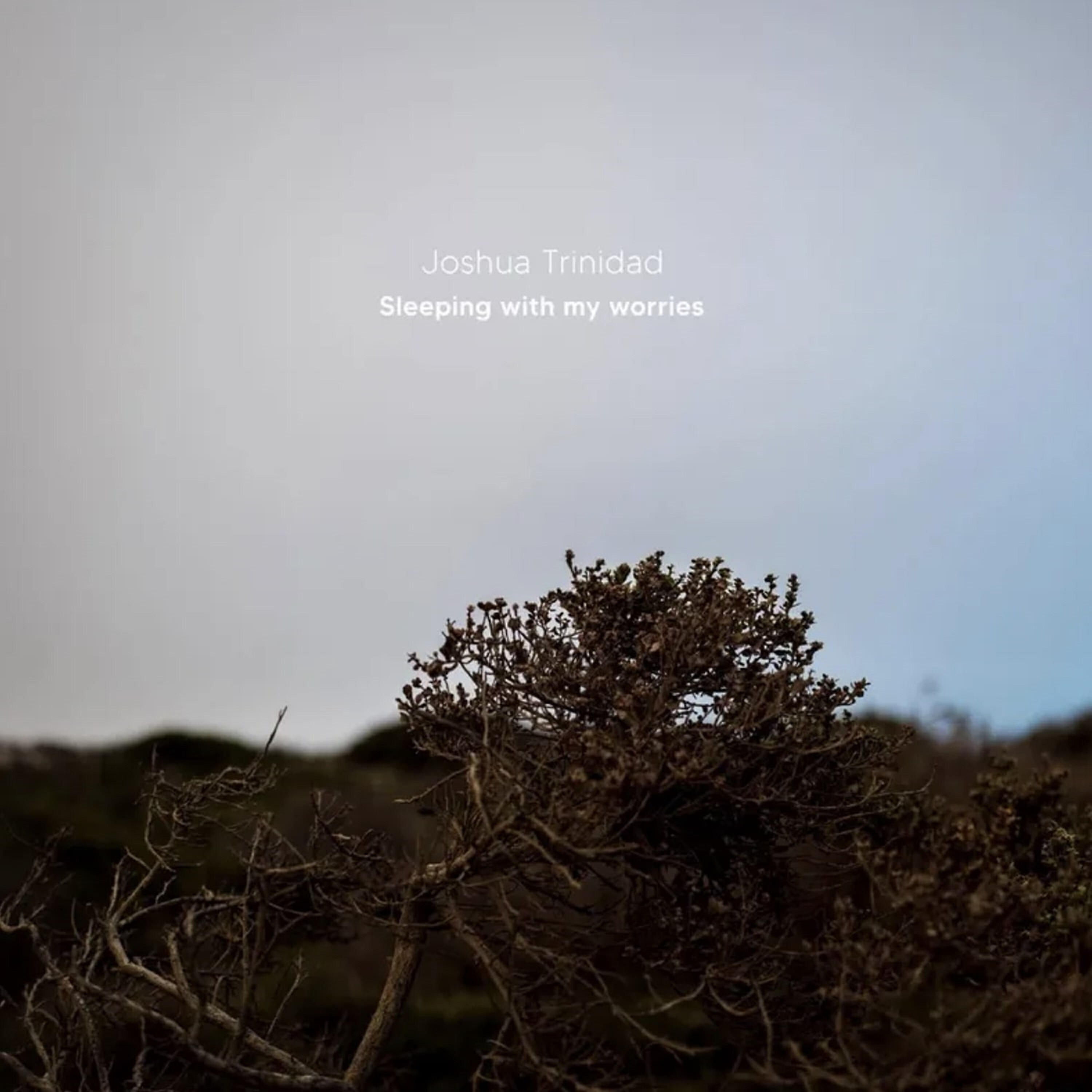 Релиз Sleeping with My Worries