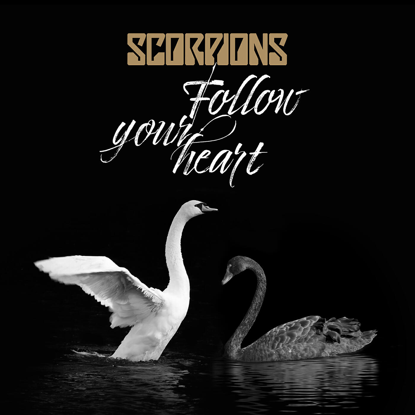 Релиз Follow Your Heart