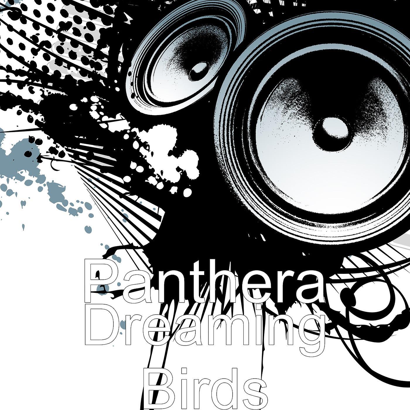 Релиз Dreaming Birds