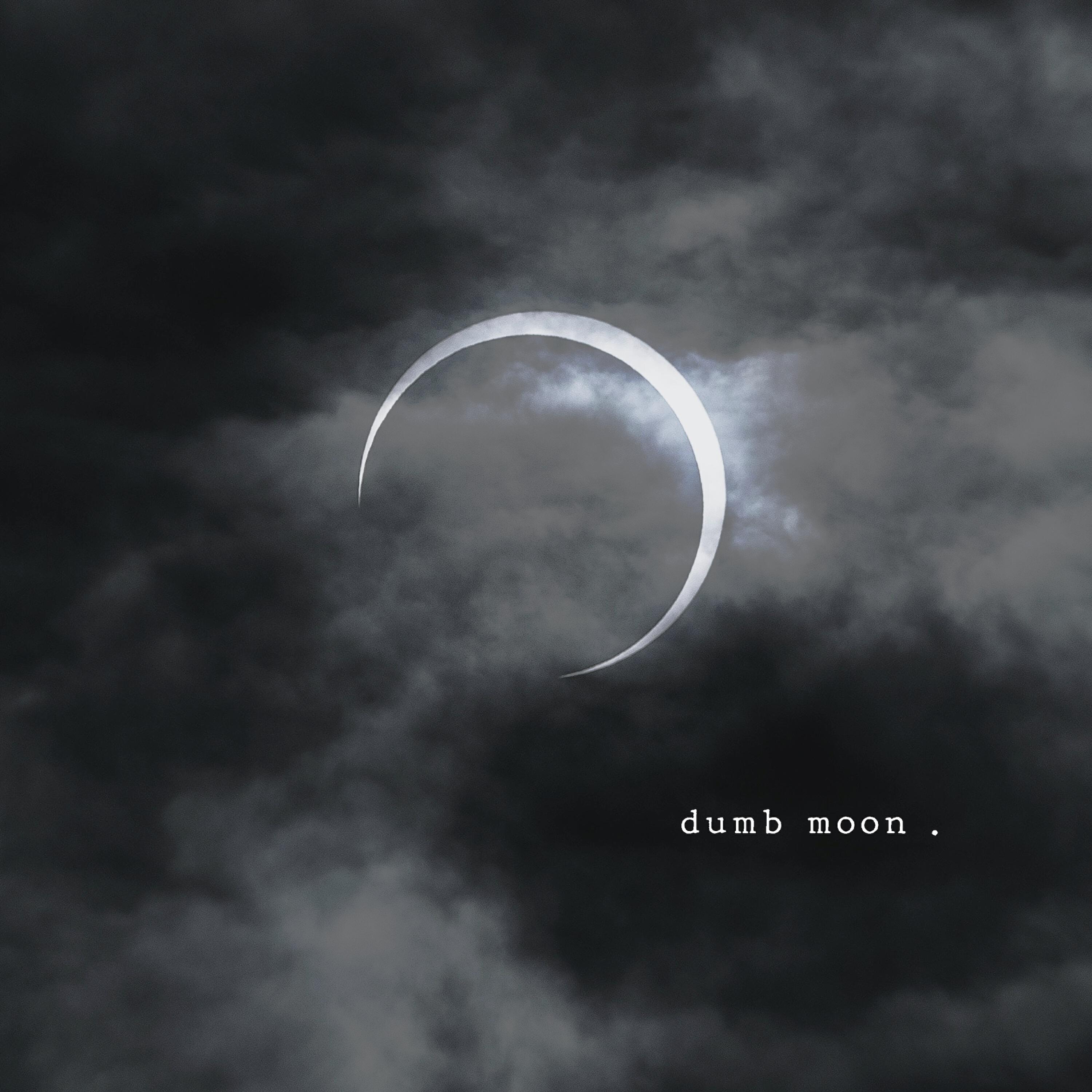 Релиз Dumb Moon