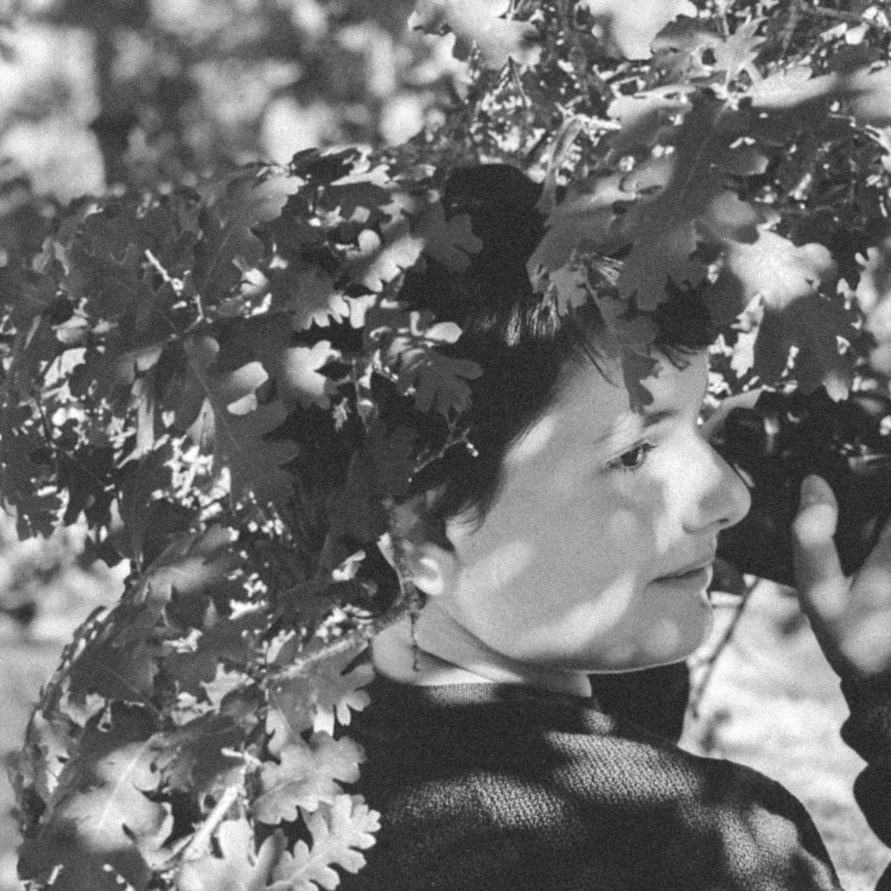 Misha Seeff