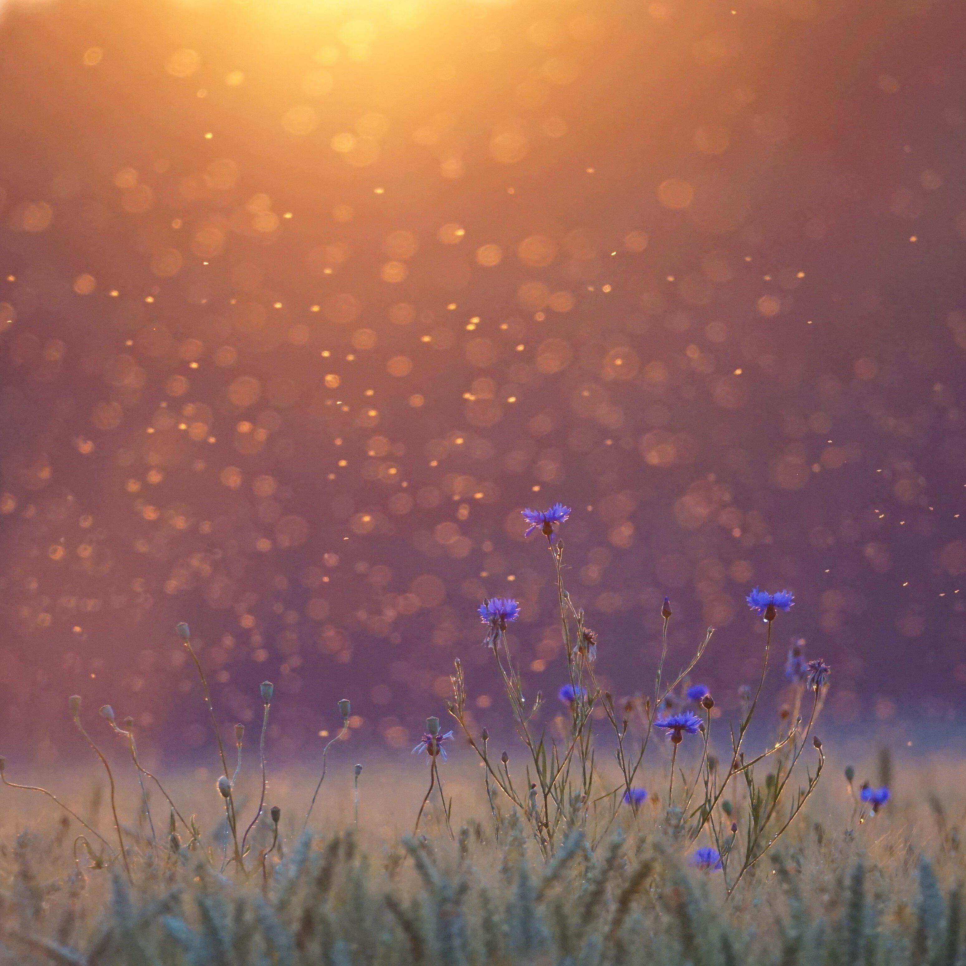 Релиз Просто помни