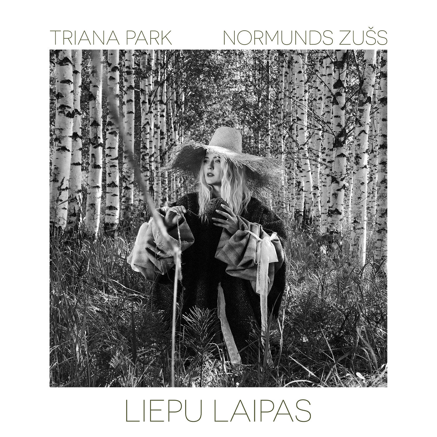 Релиз Liepu Laipas