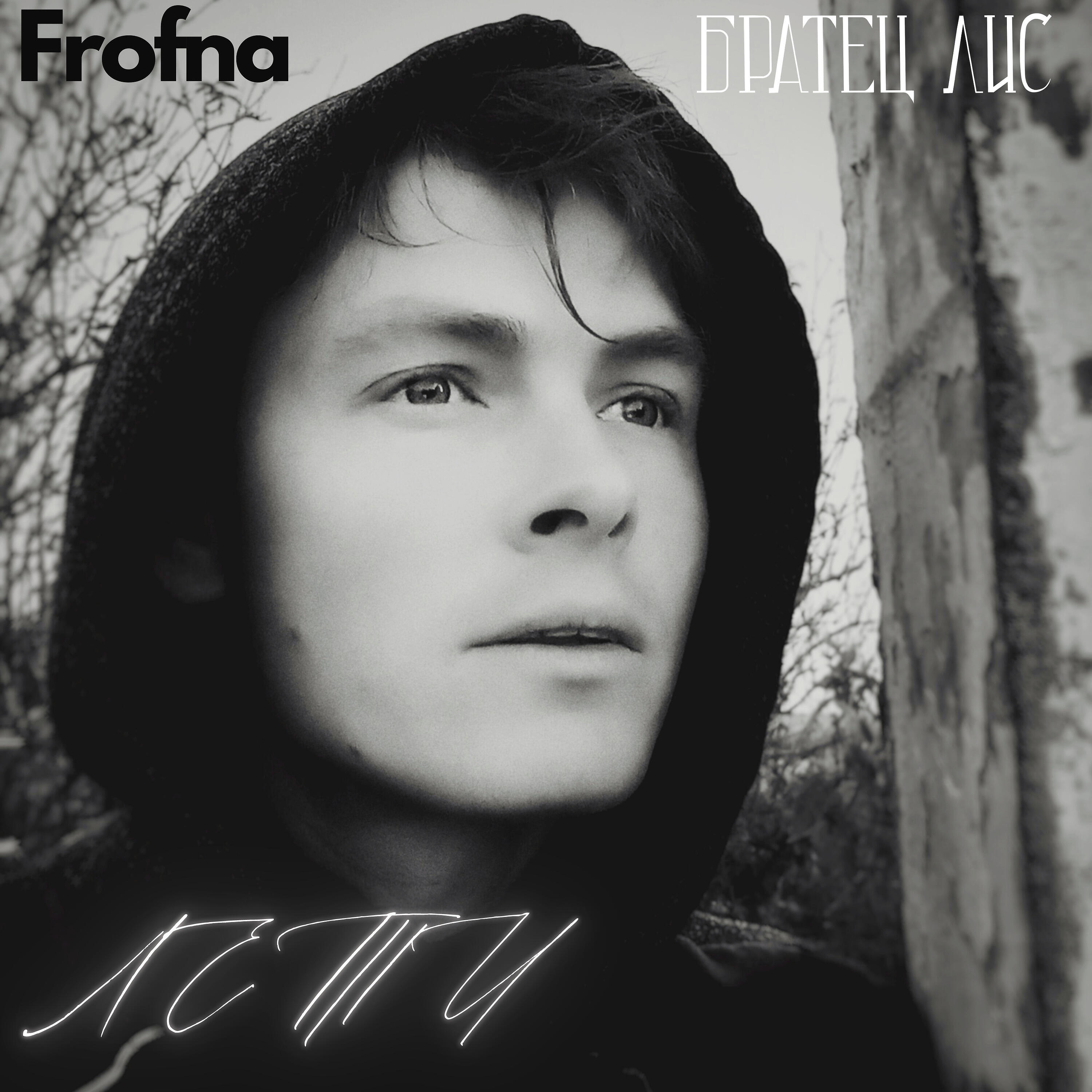 Постер альбома Лети